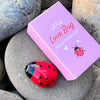 Little Love Bug ~ In Box
