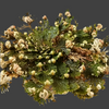 The Rose of Jericho ~ The Resurrection Plant (Large)