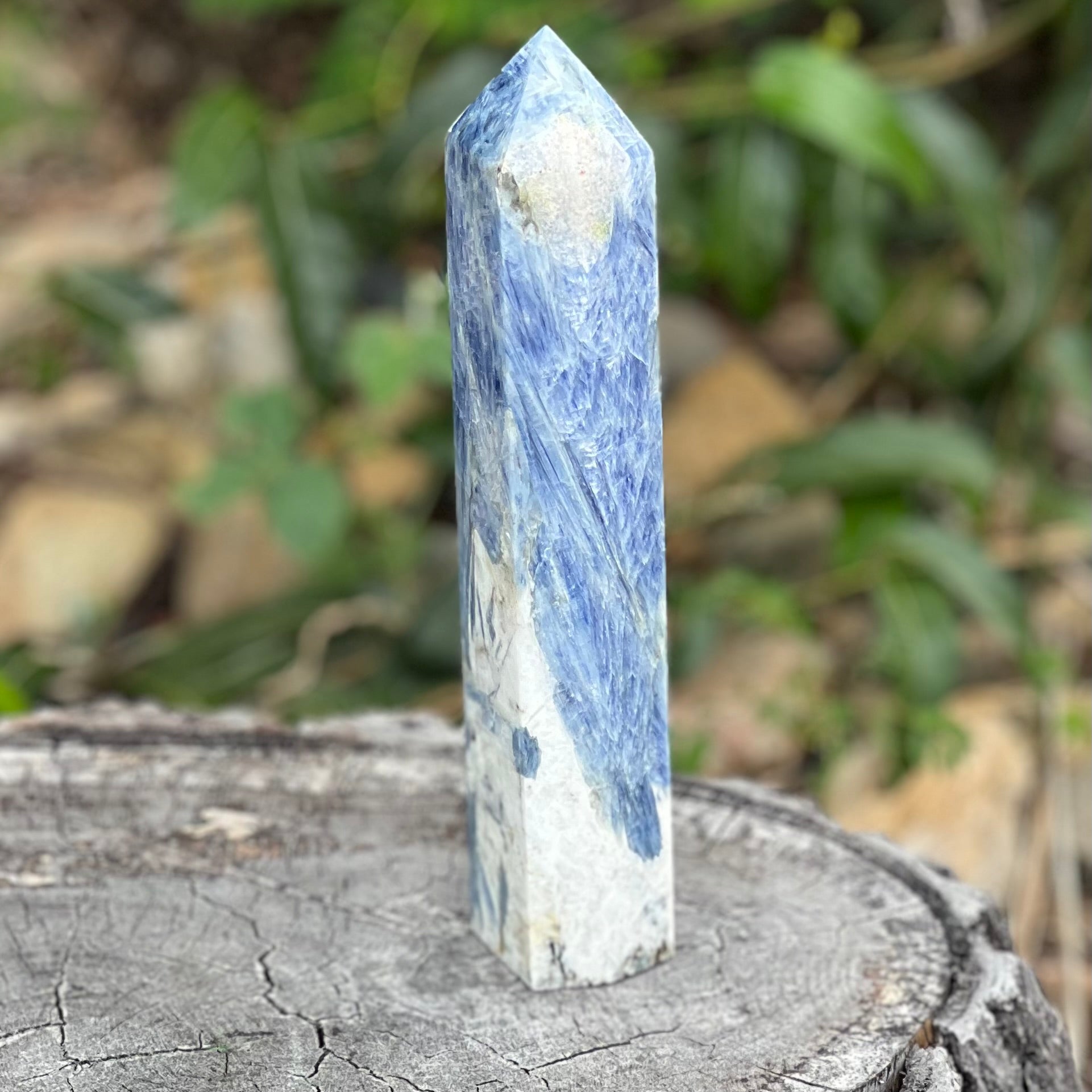 Blue Kyanite in Quartz Tower with Wing Inclusion