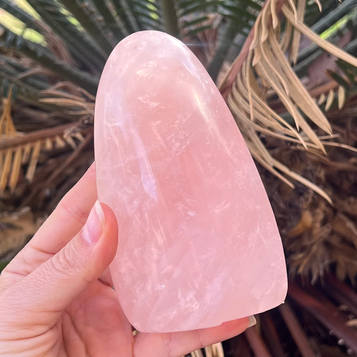 Rose Quartz Freeform