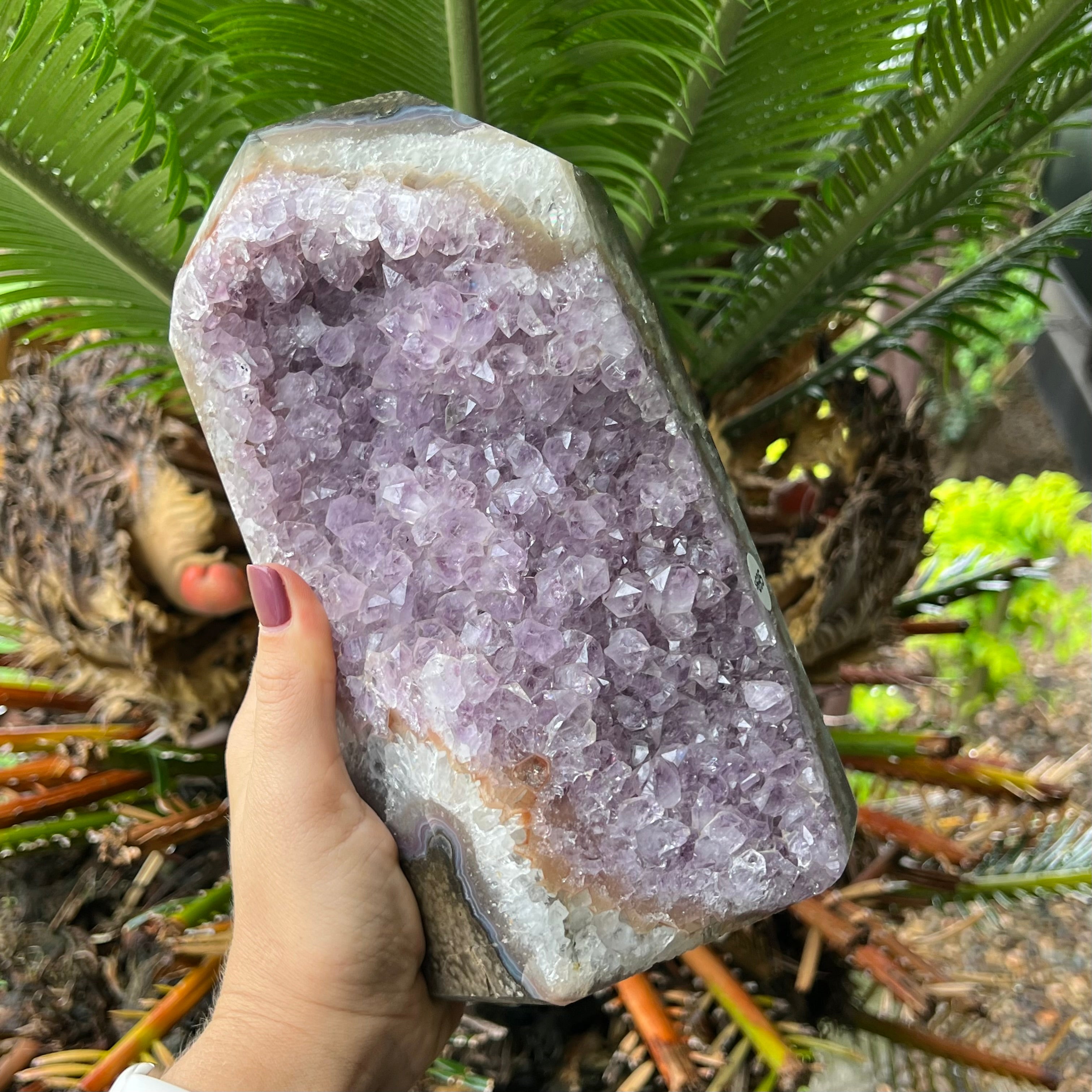 Amethyst Geode