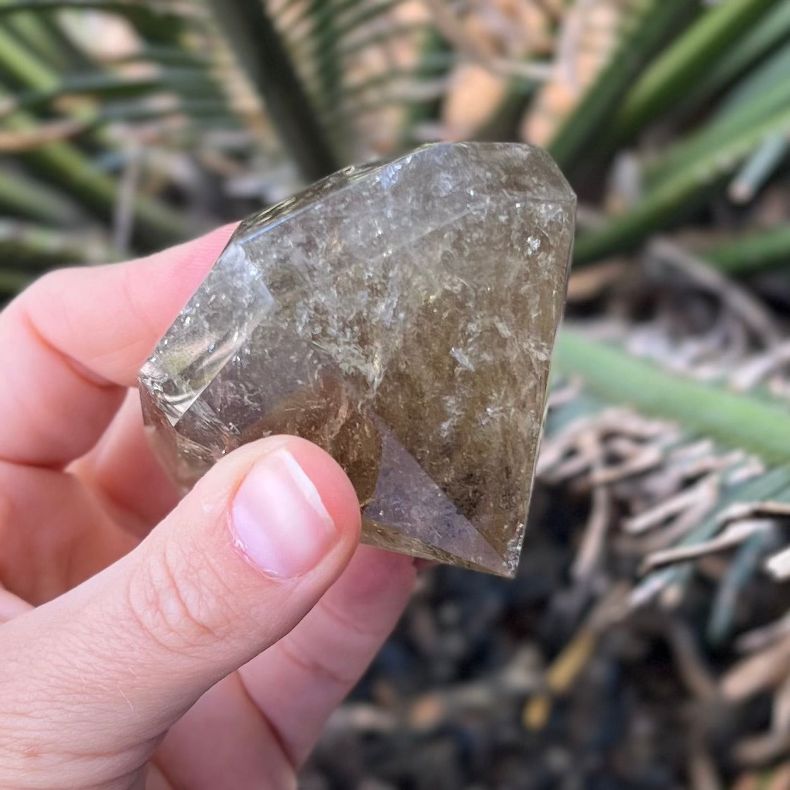 Citrine Diamond Cut ~ Specialty Crystal