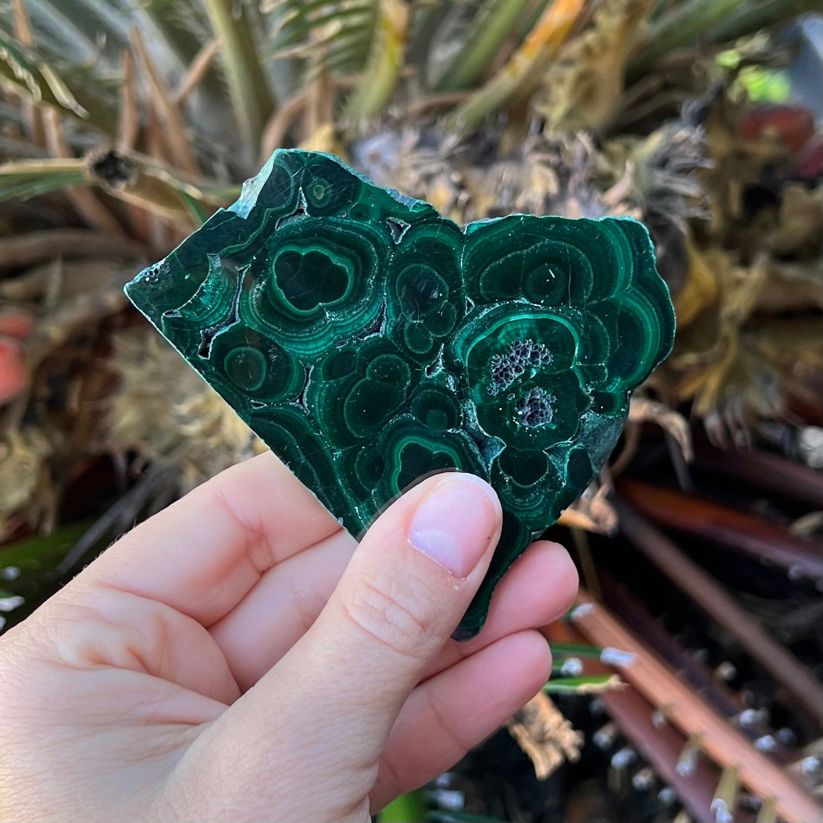 Malachite Slab ~ Transformation