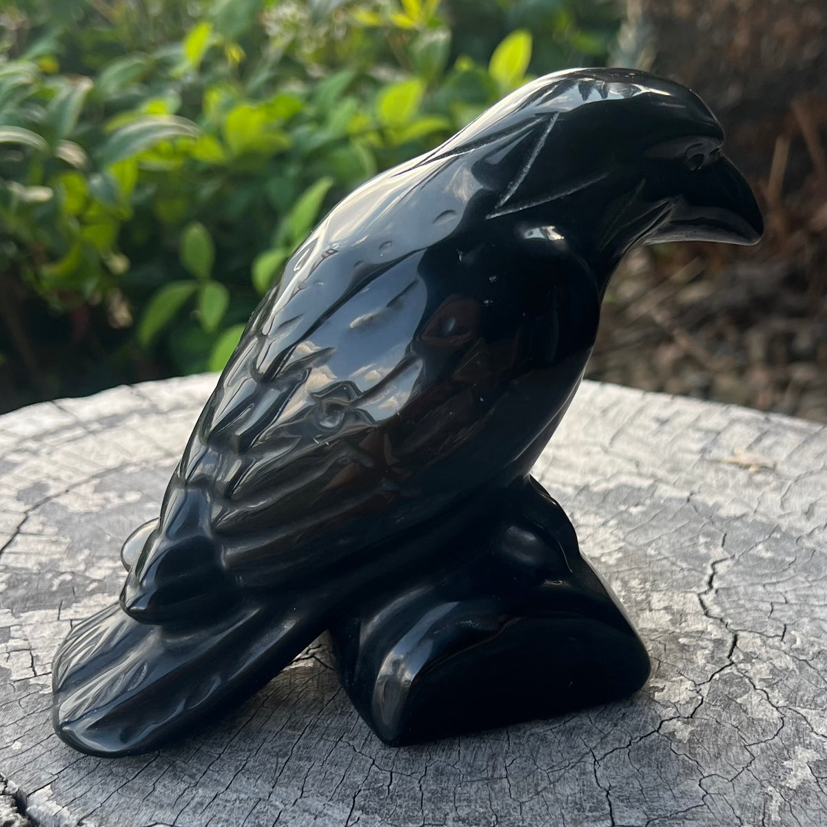 Raven Carving ~ Black Obsidian