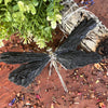 Dragon Fly ~ Black Kyanite Electroplate