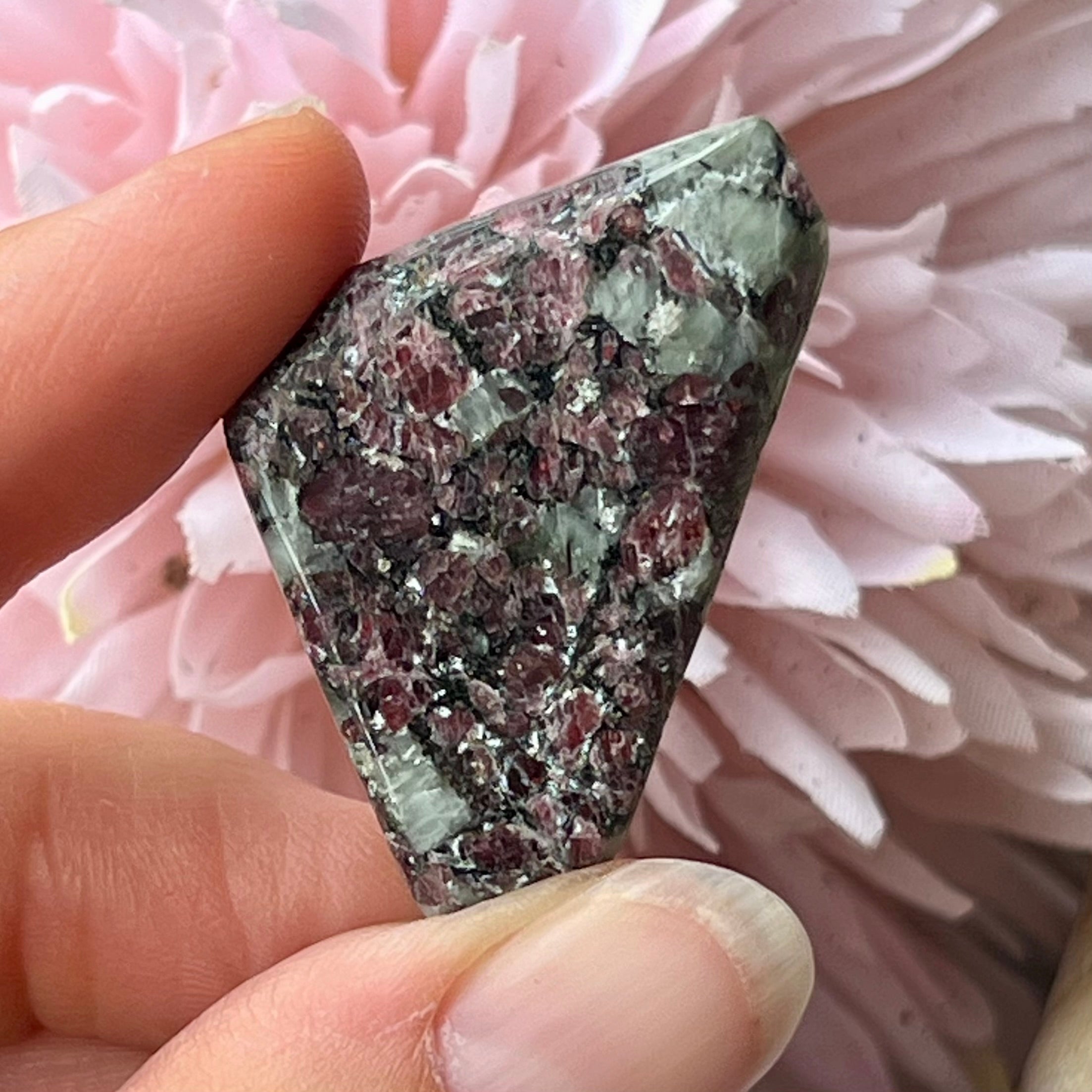 Eudialyte Tumble  ~ Specialty Boxed Crystal