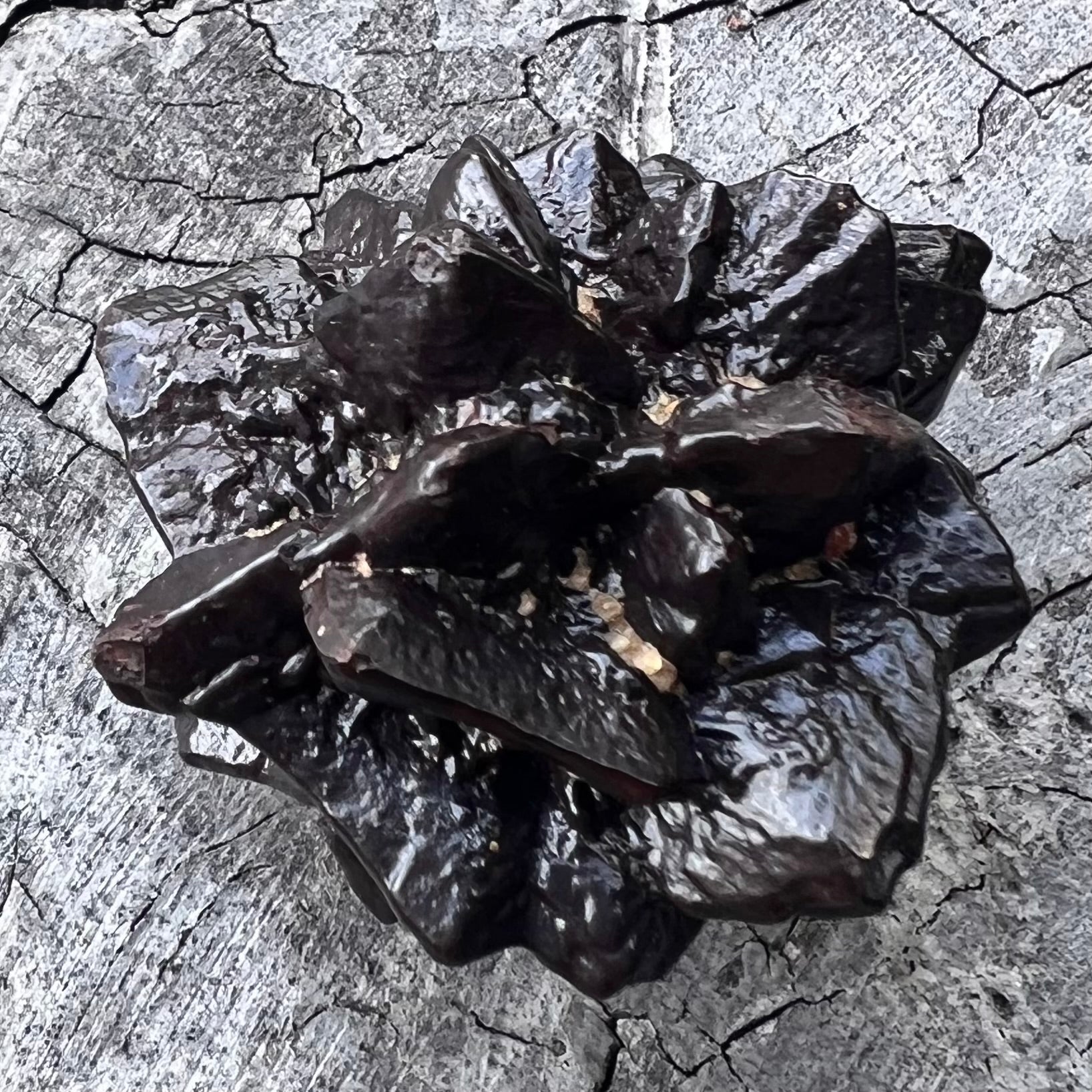 Prophecy Stone ~ Specialty Crystal ~ 6