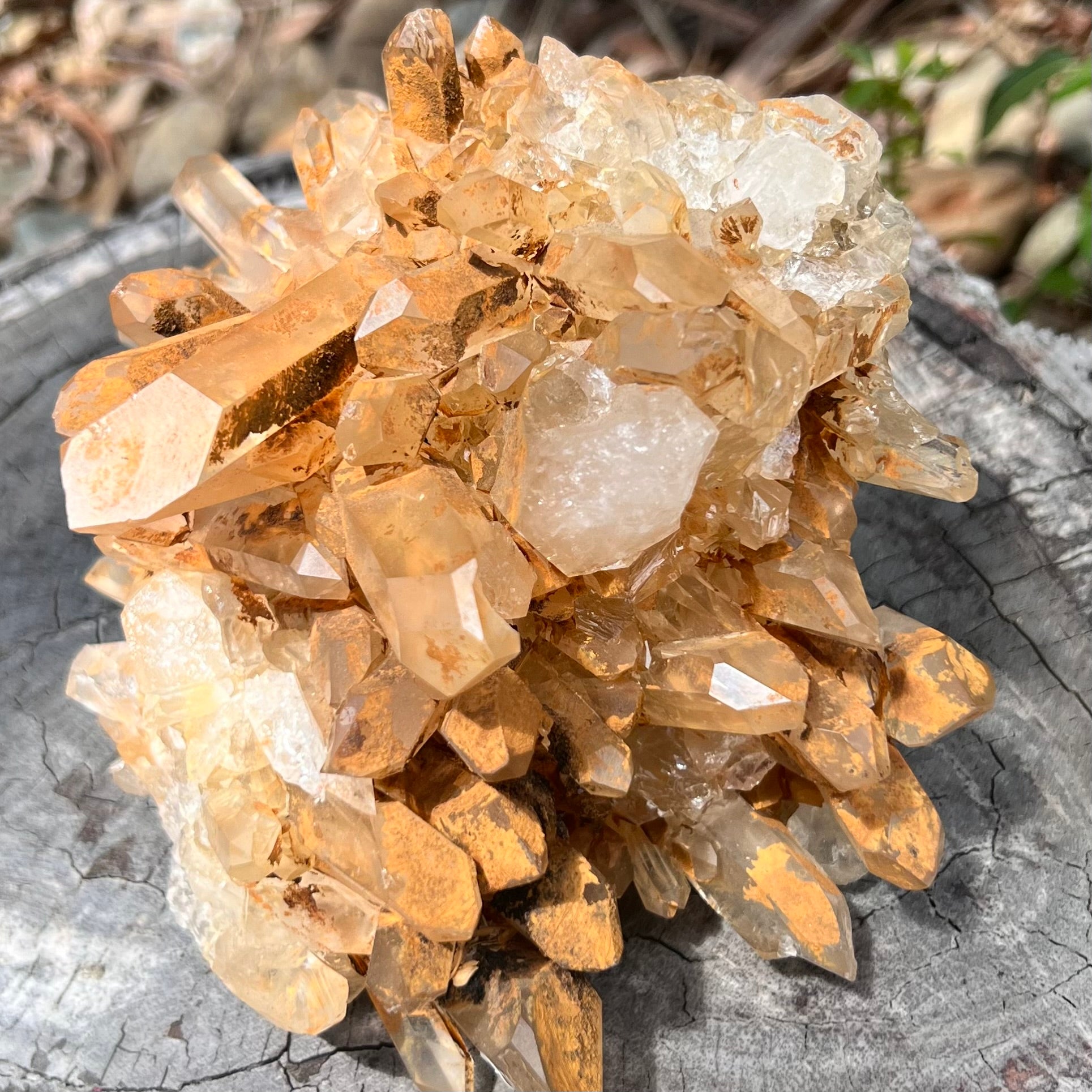 Smoky Citrine Cluster