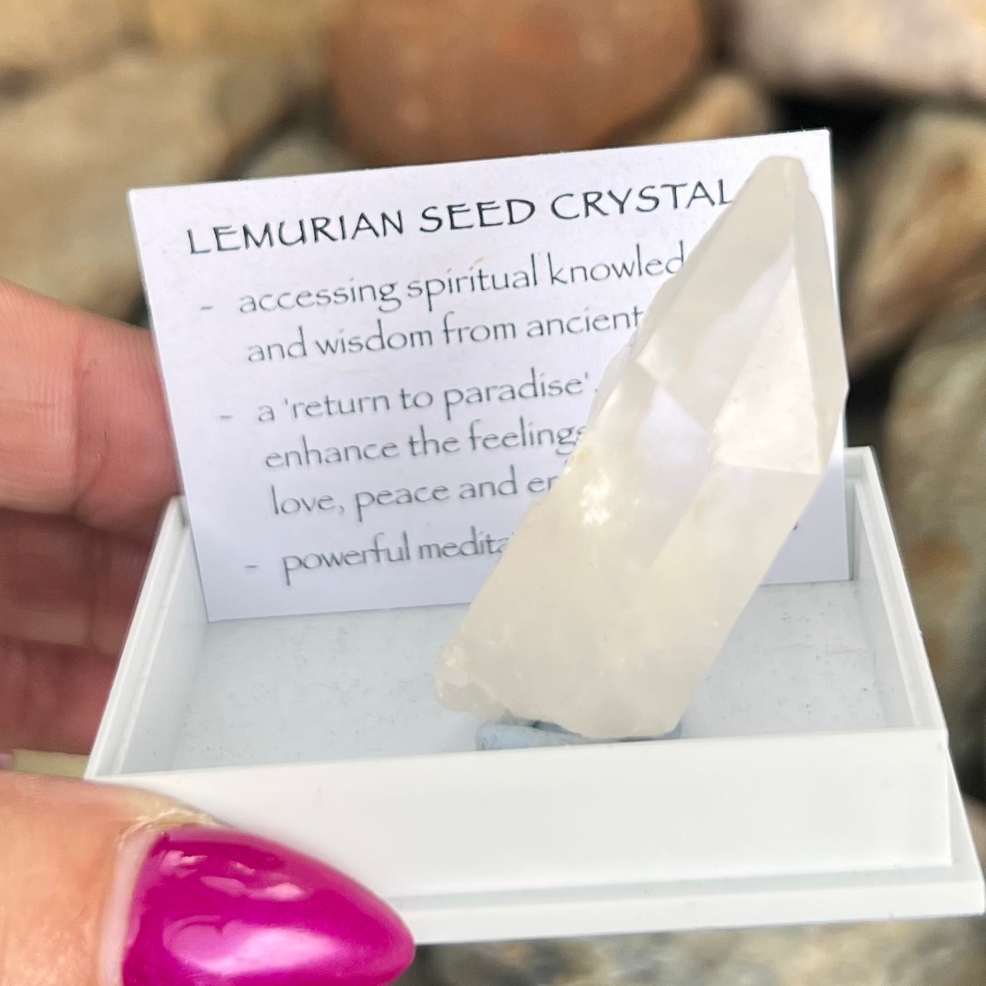 Raw Lumerian Seed Specimen~ Specialty Boxed Crystal