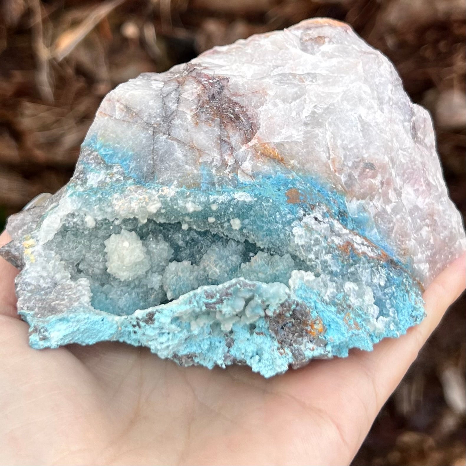 Shattuckite Geode on Matrix