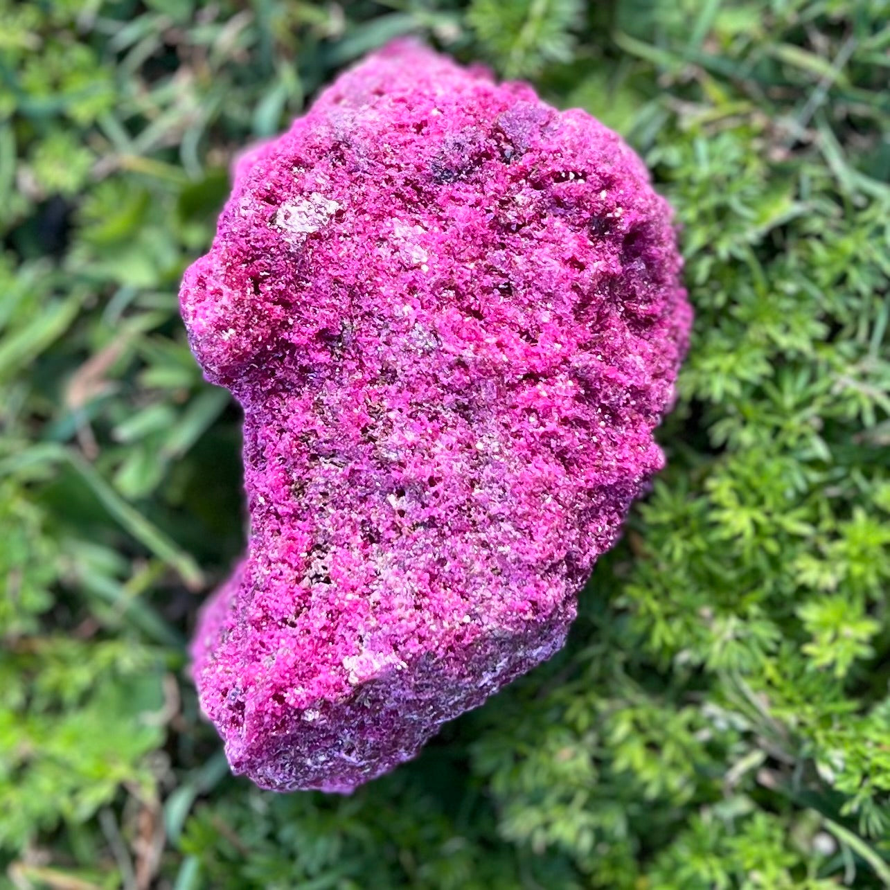 Ruby with Pyrite Specimen
