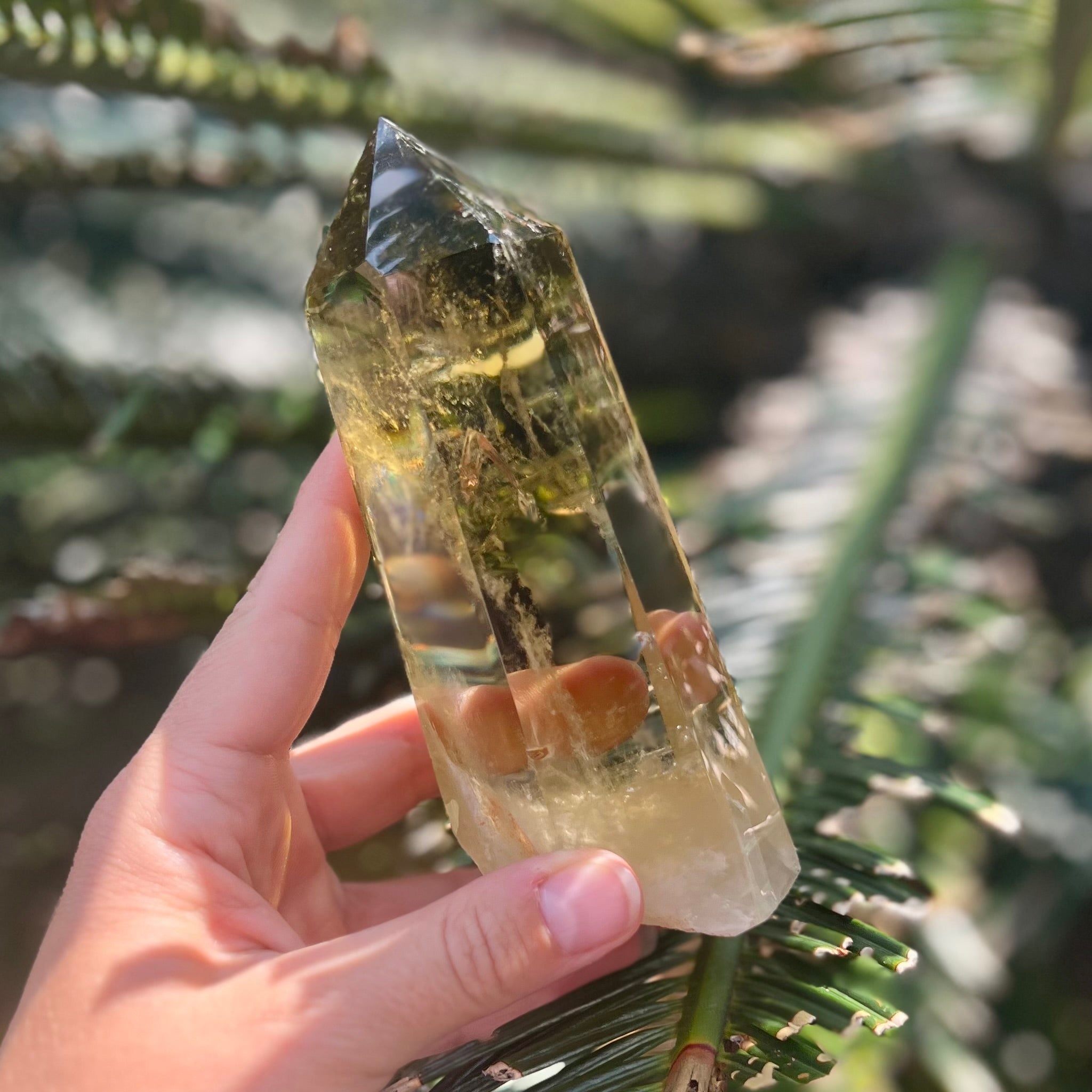 Stunning Citrine Point
