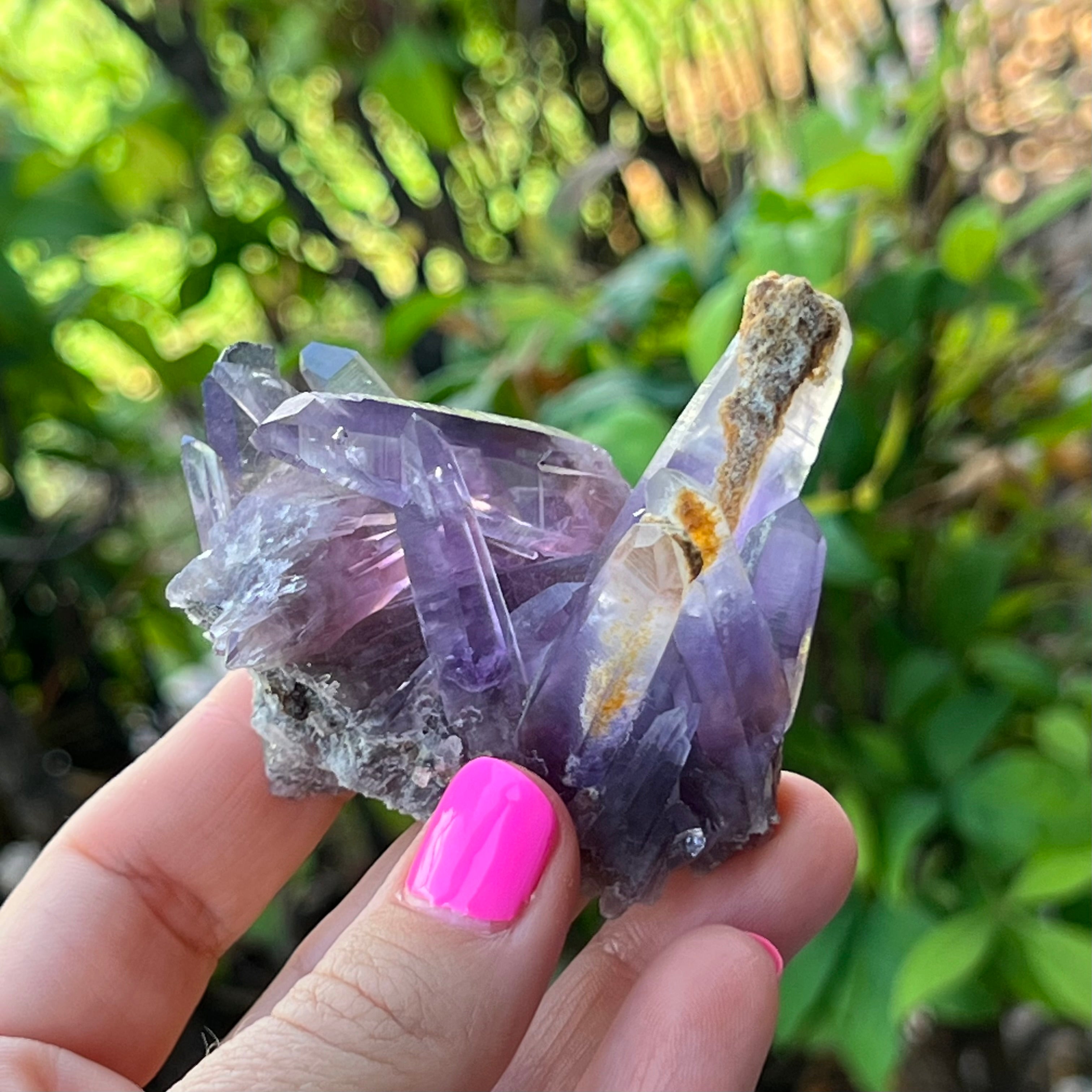Vera Cruz Amethyst