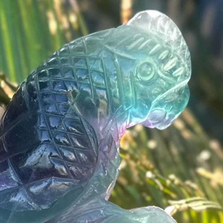 Rainbow Flourite ~ Bird Carving