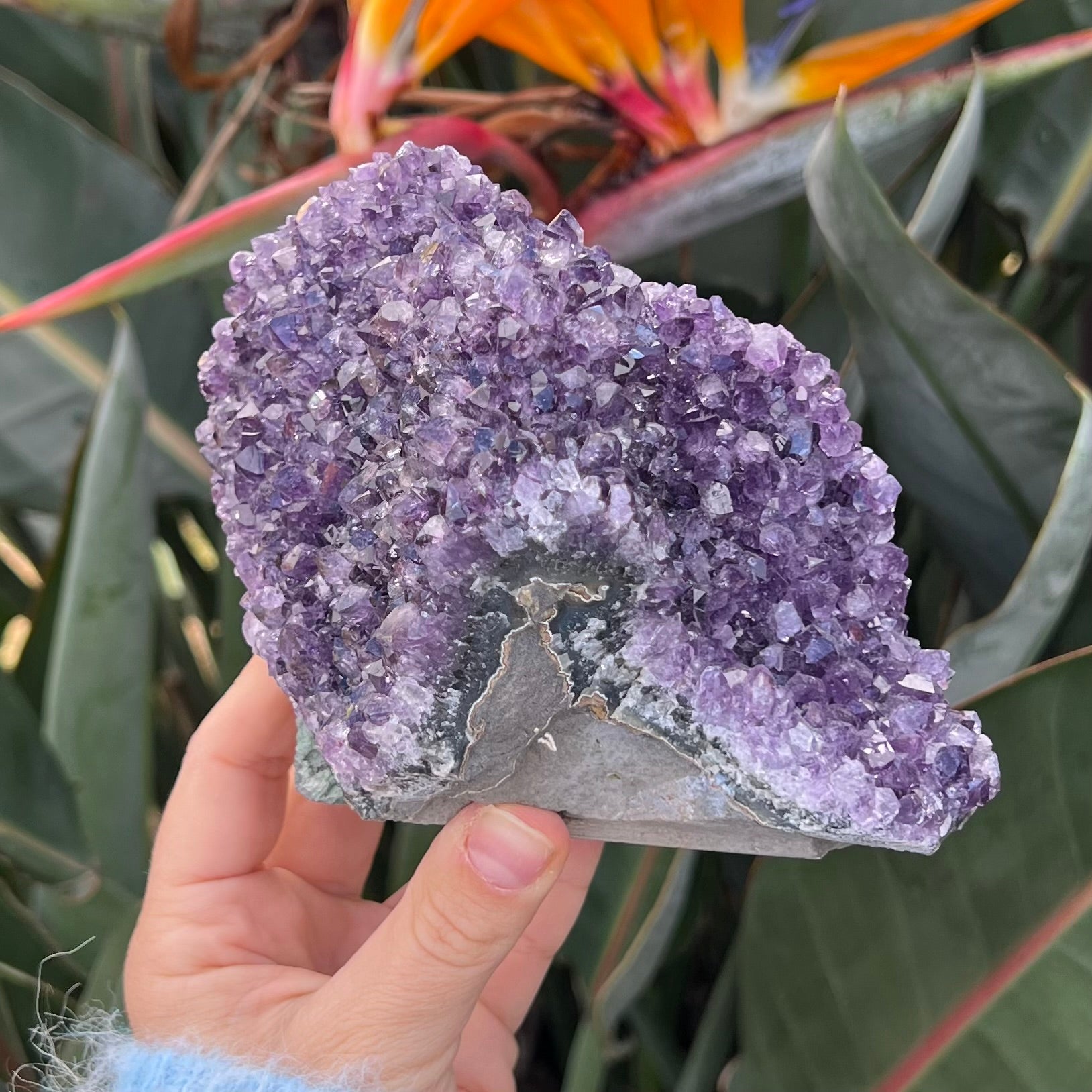 Gorgeous Amethyst Cluster