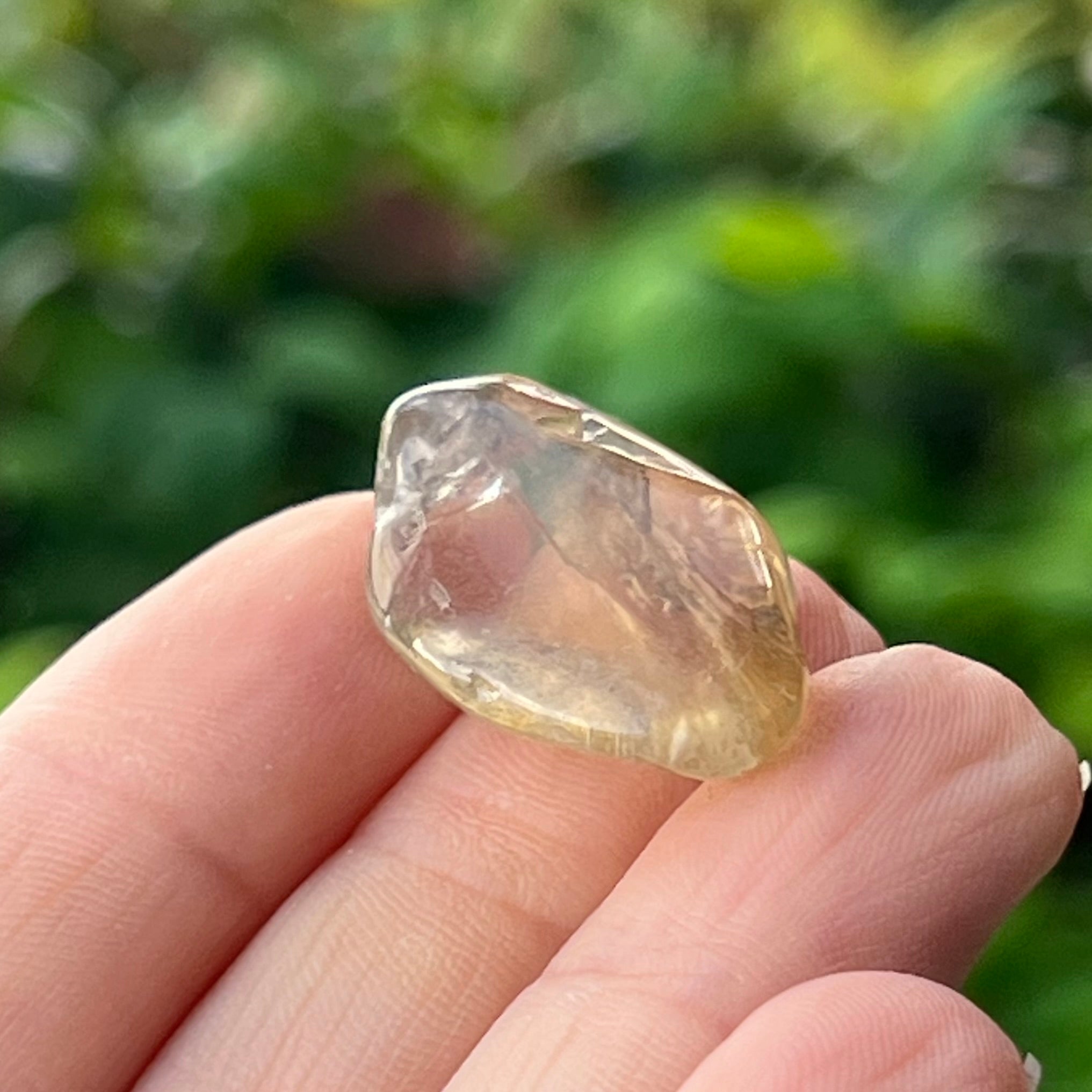 Golden Labradorite ~ Specialty Boxed Crystal