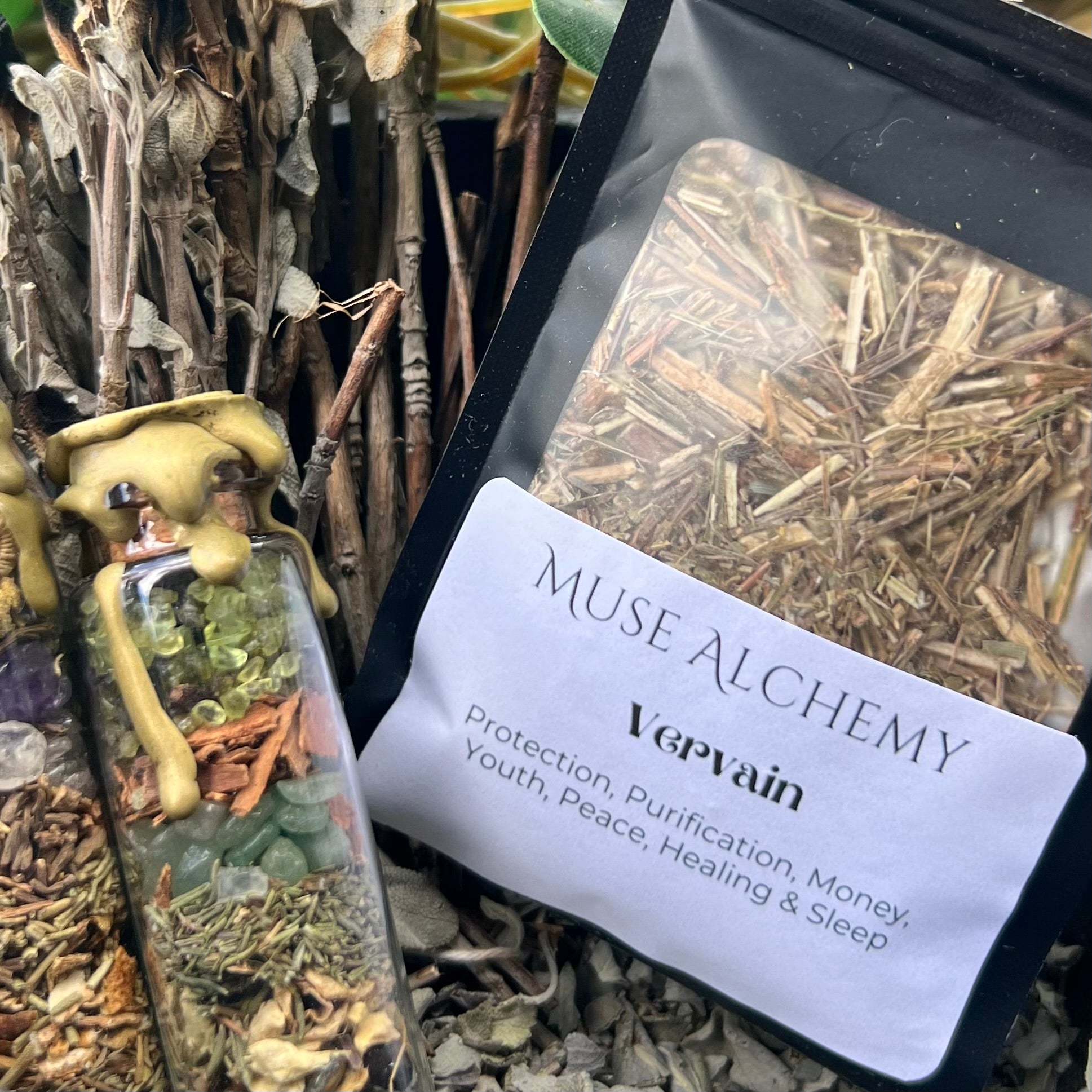 Vervain ~ Muse Alchemy Botanicals