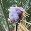 Fire Quartz Everlasting Rose