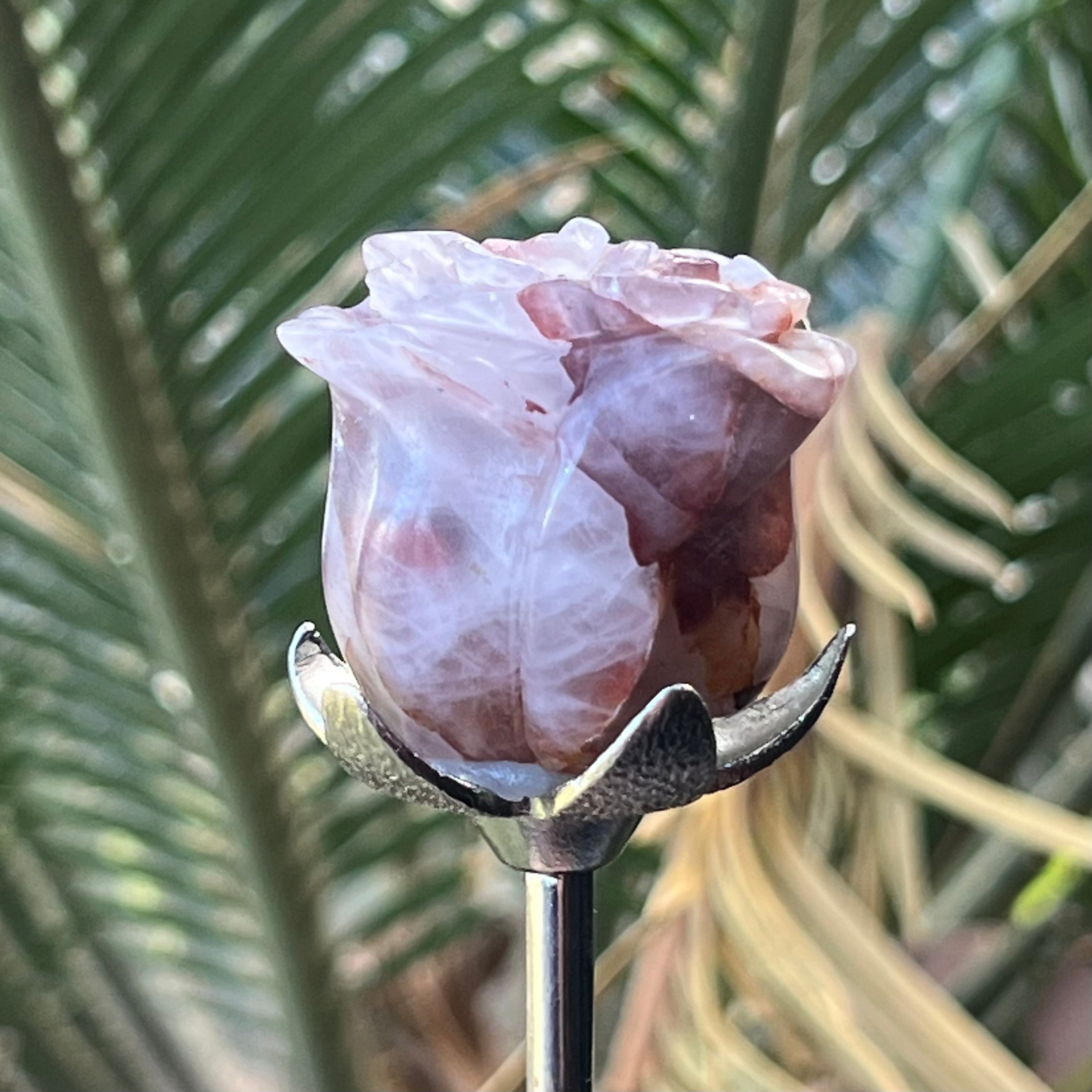 Fire Quartz Everlasting Rose
