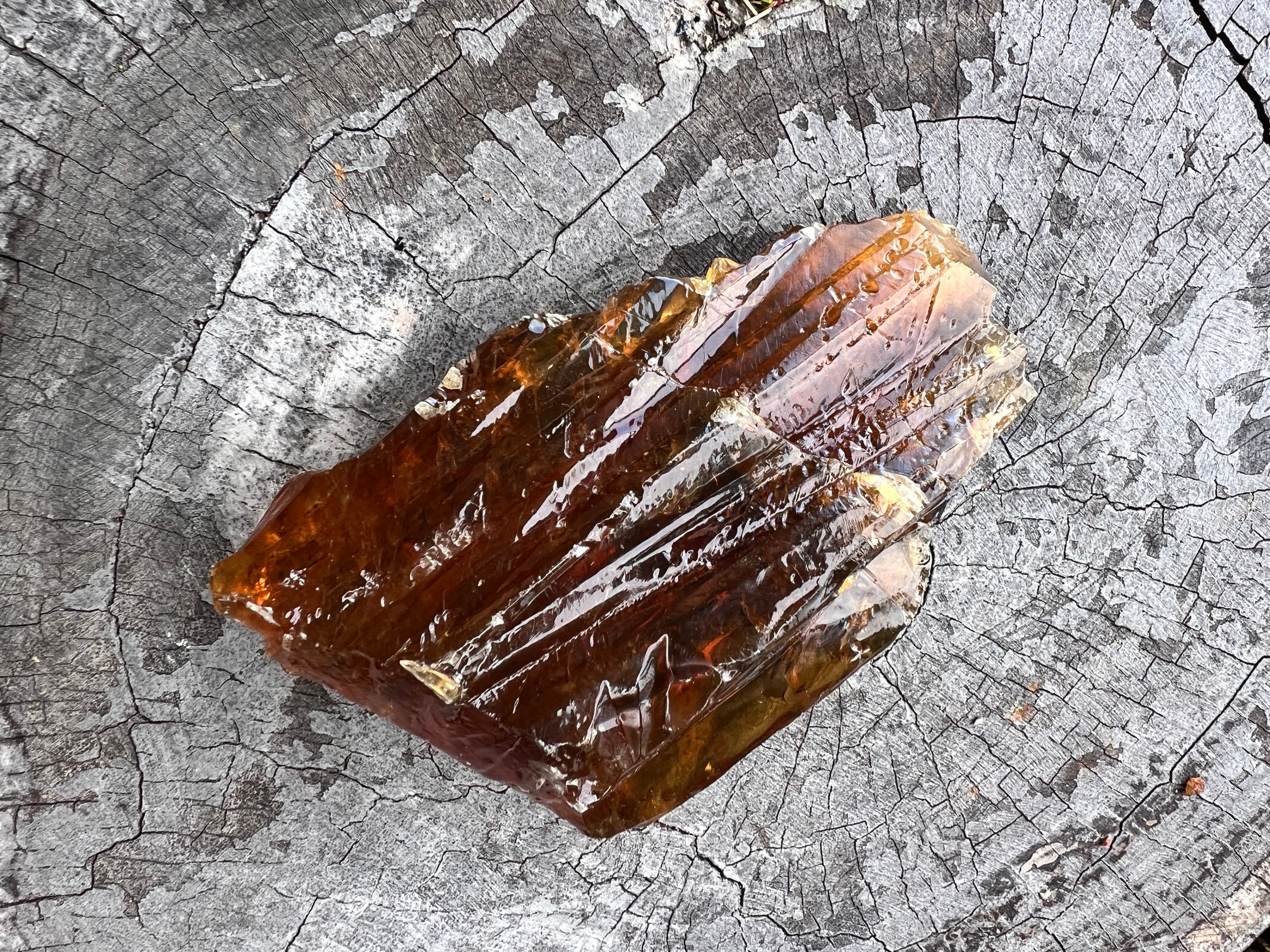 Amber with Quartz Raw Specimen