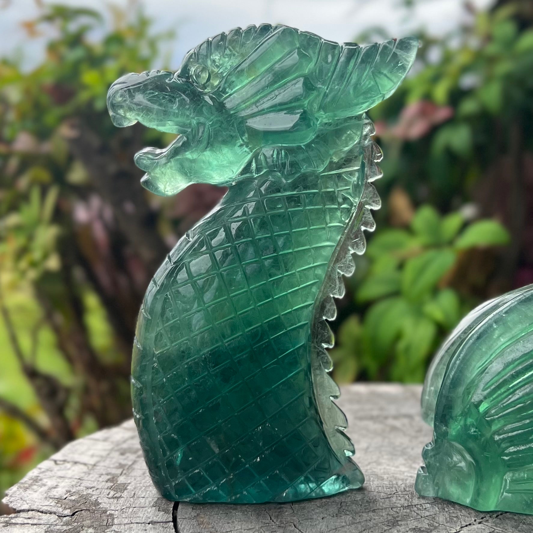 Green Fluorite Sea Dragon Carving ~ 3 Piece Set