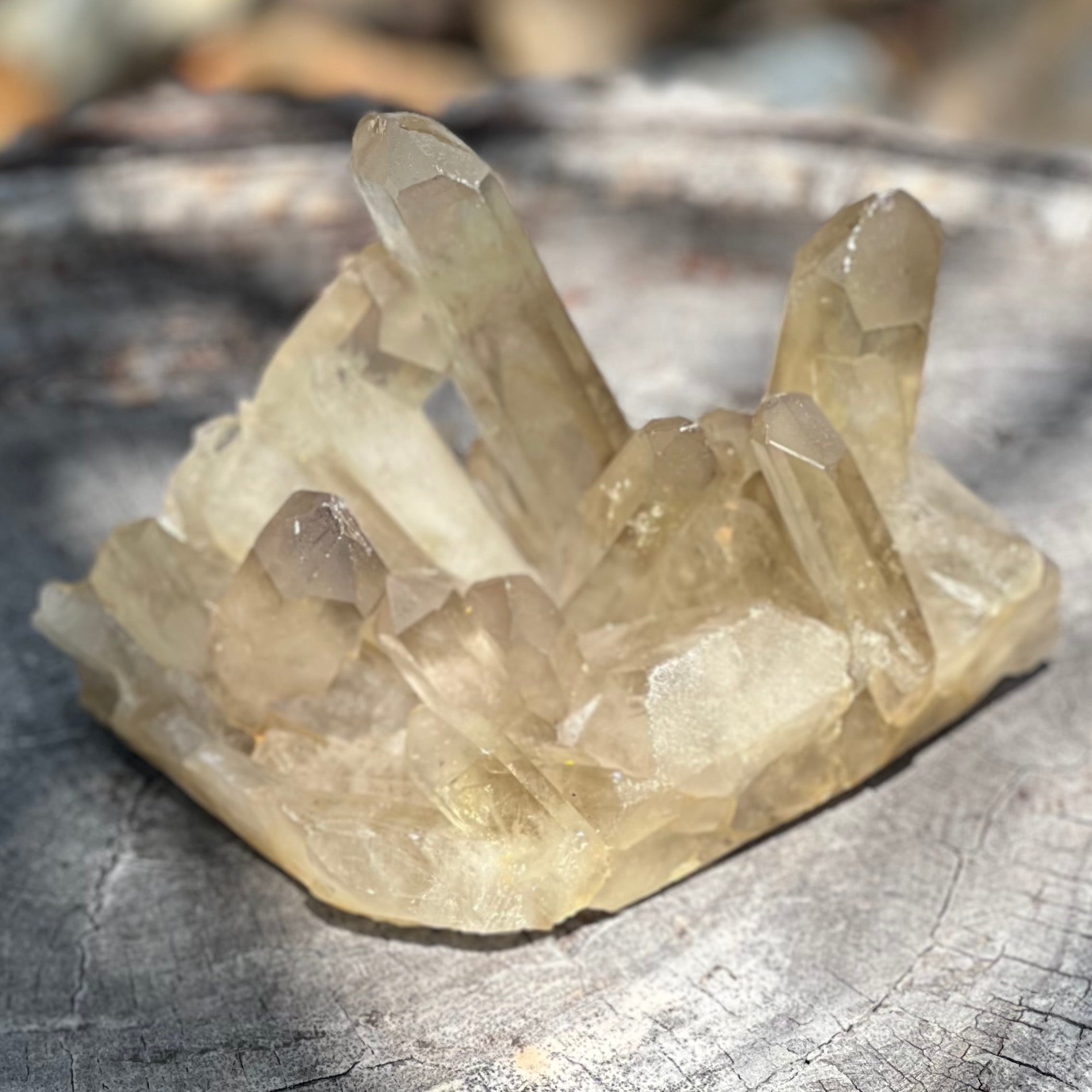 Smoky Citrine Natural Raw Cluster