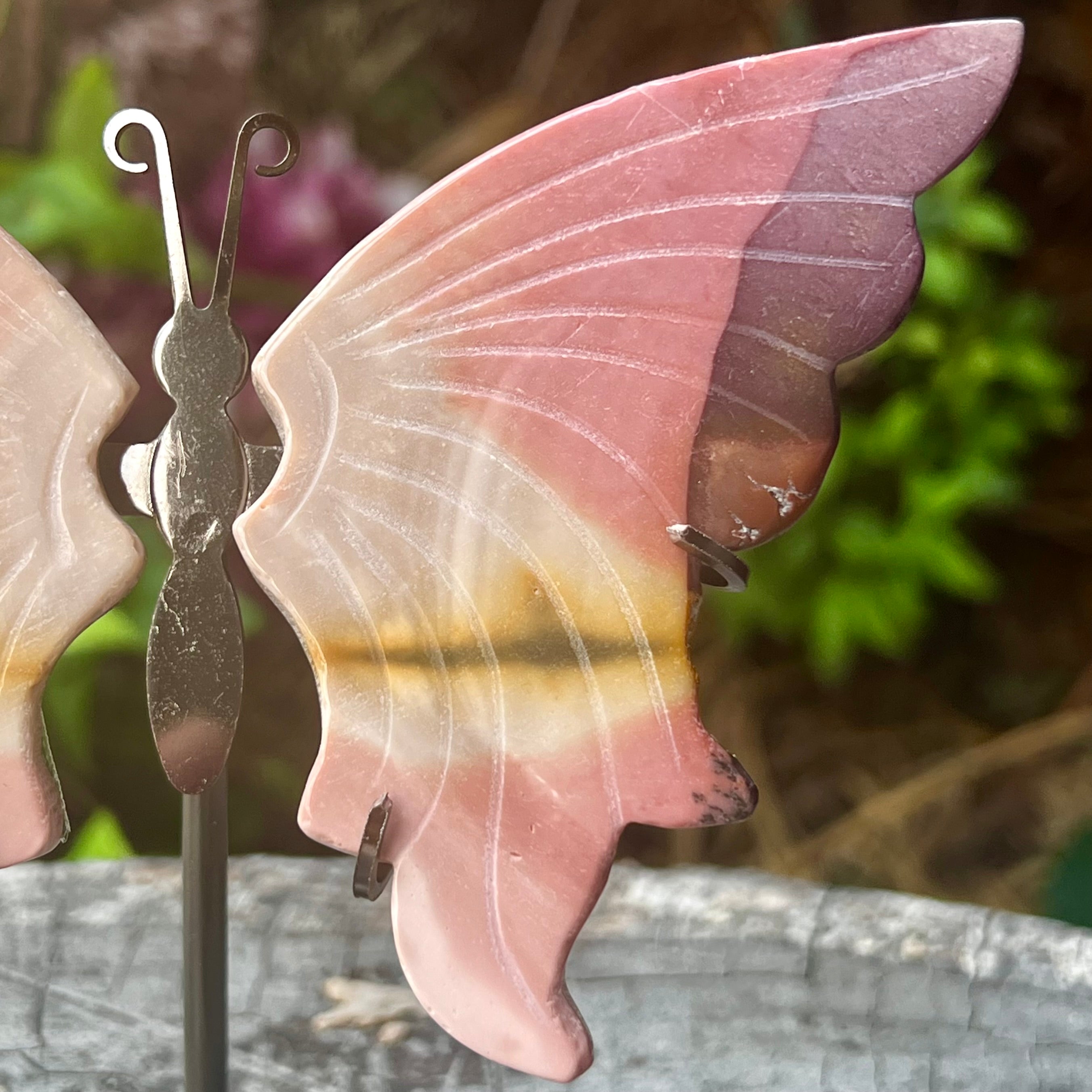 Mookaite Butterfly on Stand