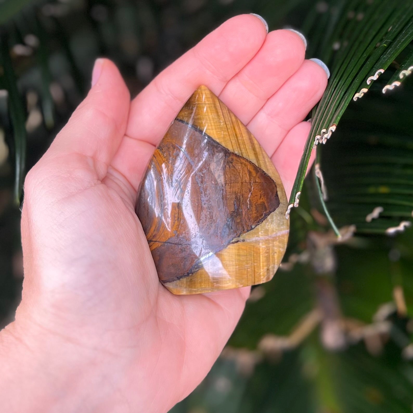 Tiger Eye ~ Tear Carving
