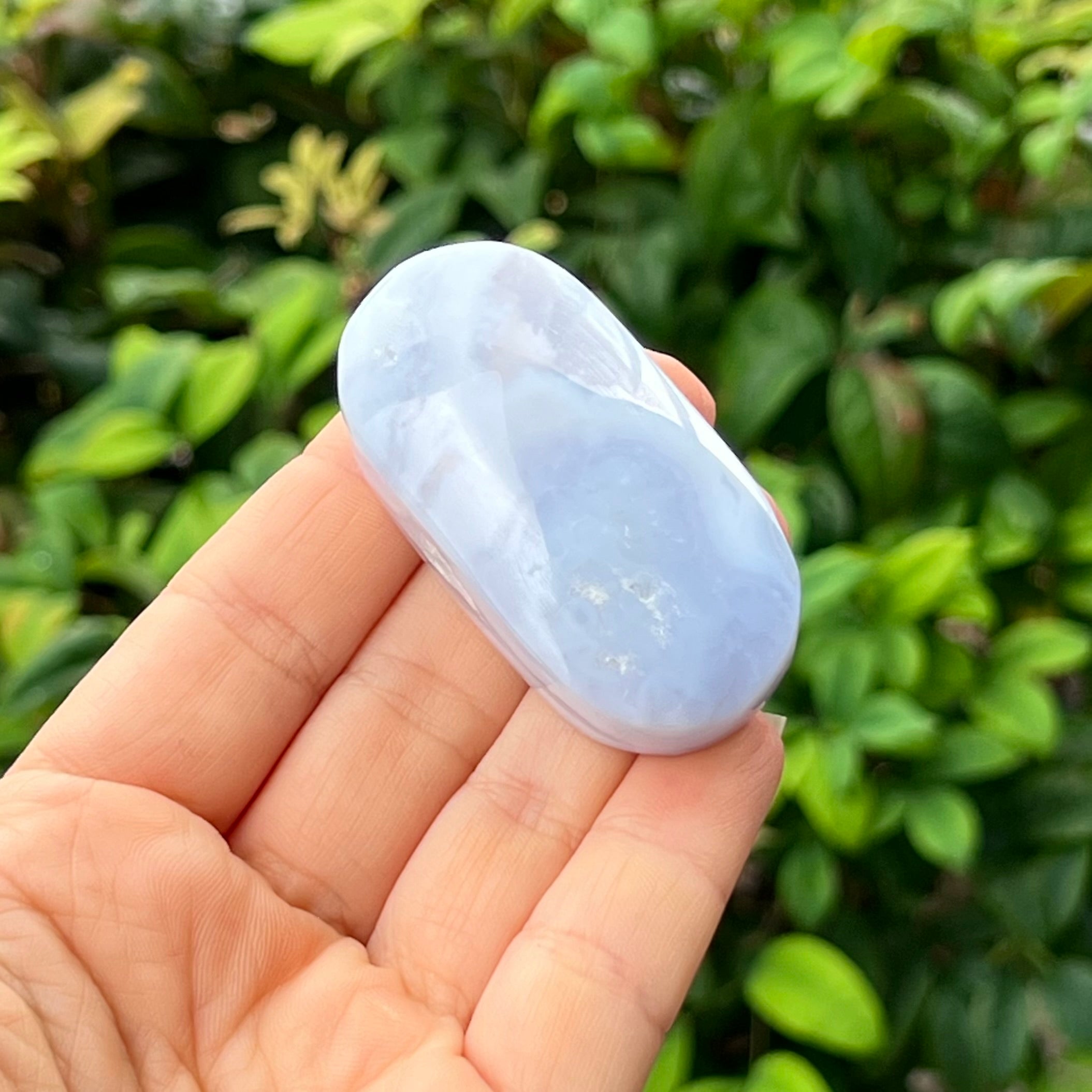 Blue Lace Agate ~ Specialty Crystal