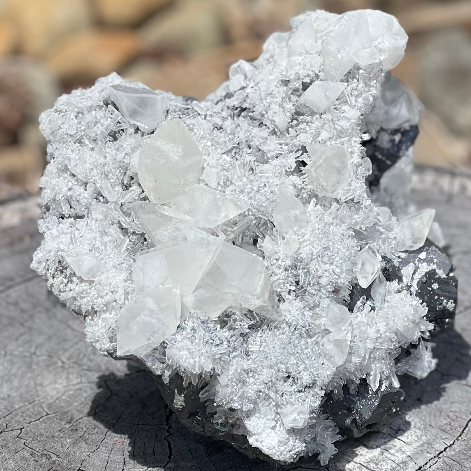 Natural Apophyllite on Black Tourmaline Cluster