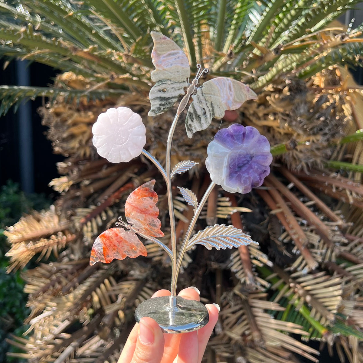 Crystal Garden Butterfly Display