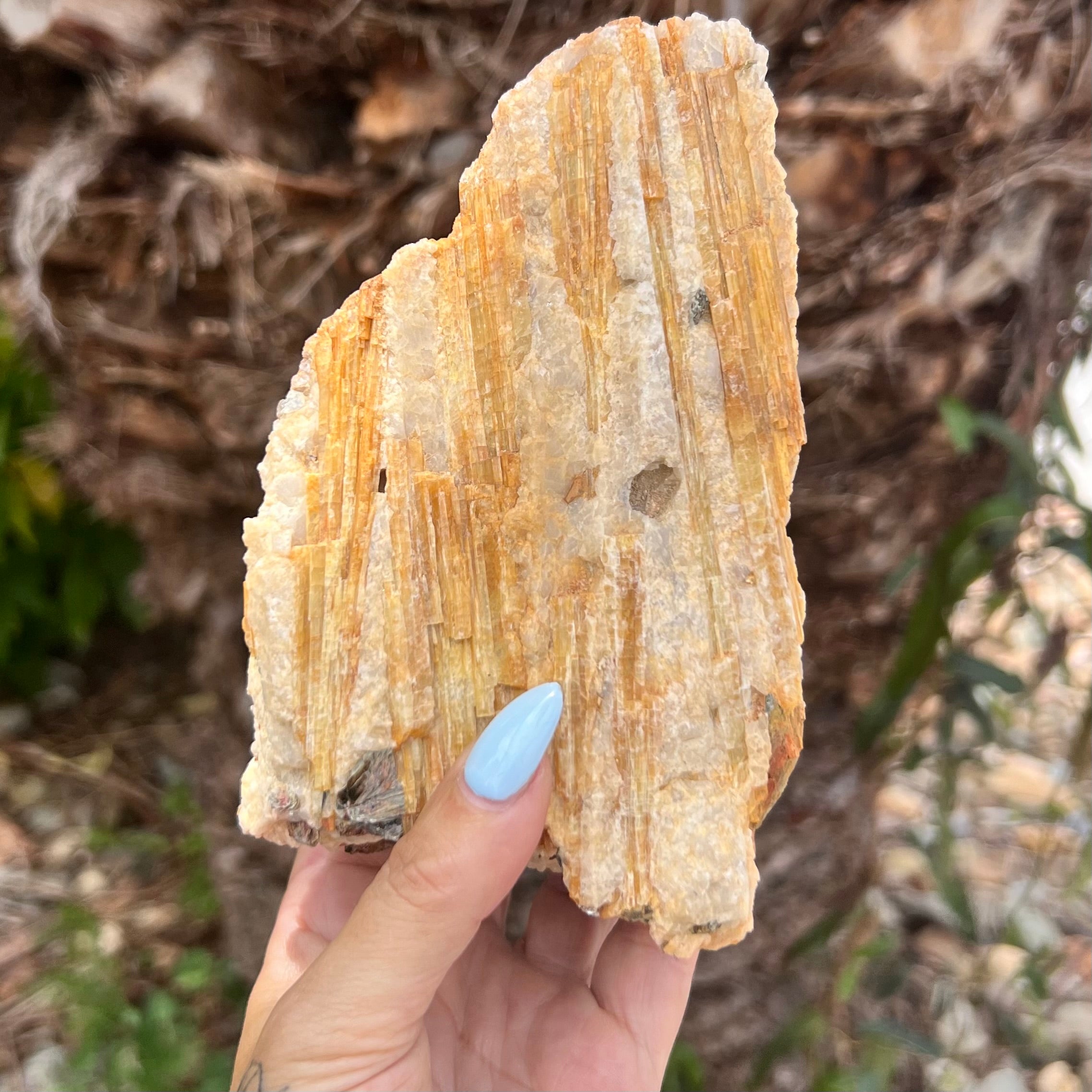 Natural Yellow Tourmaline on Matrix