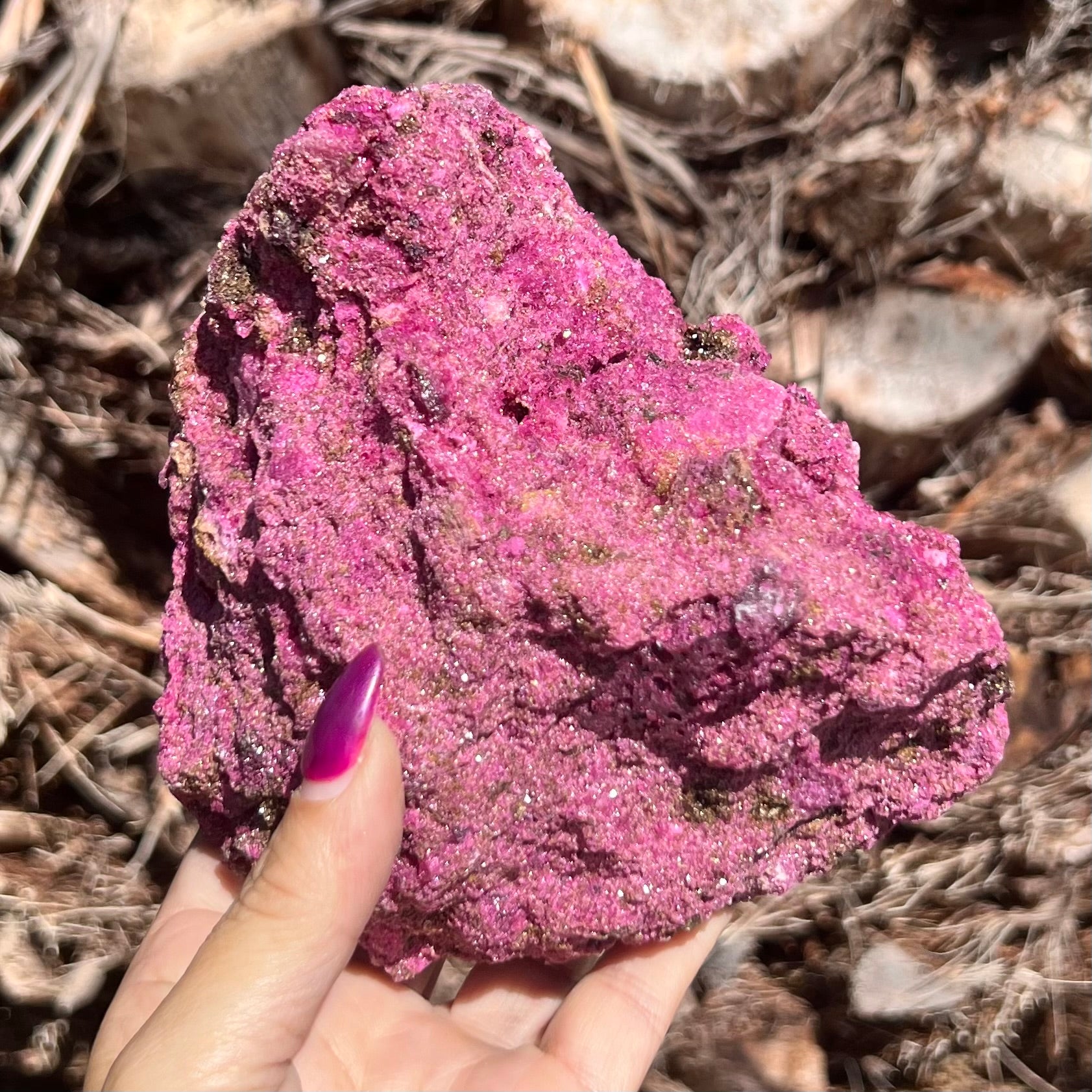 Glorious Ruby with Pyrite Specimen