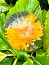 Sphère de fleur éternelle de tournesol