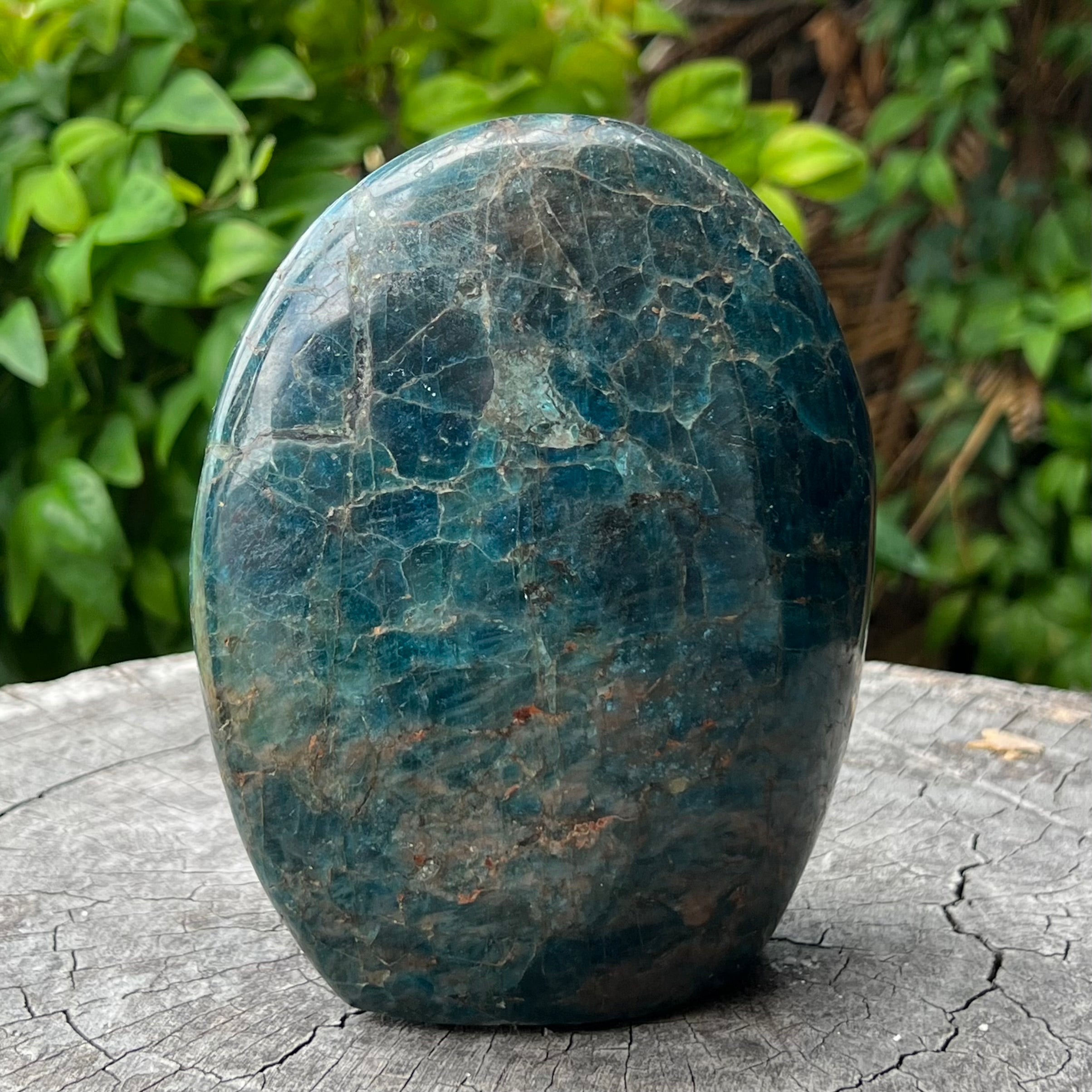 Blue Apatite Freeform