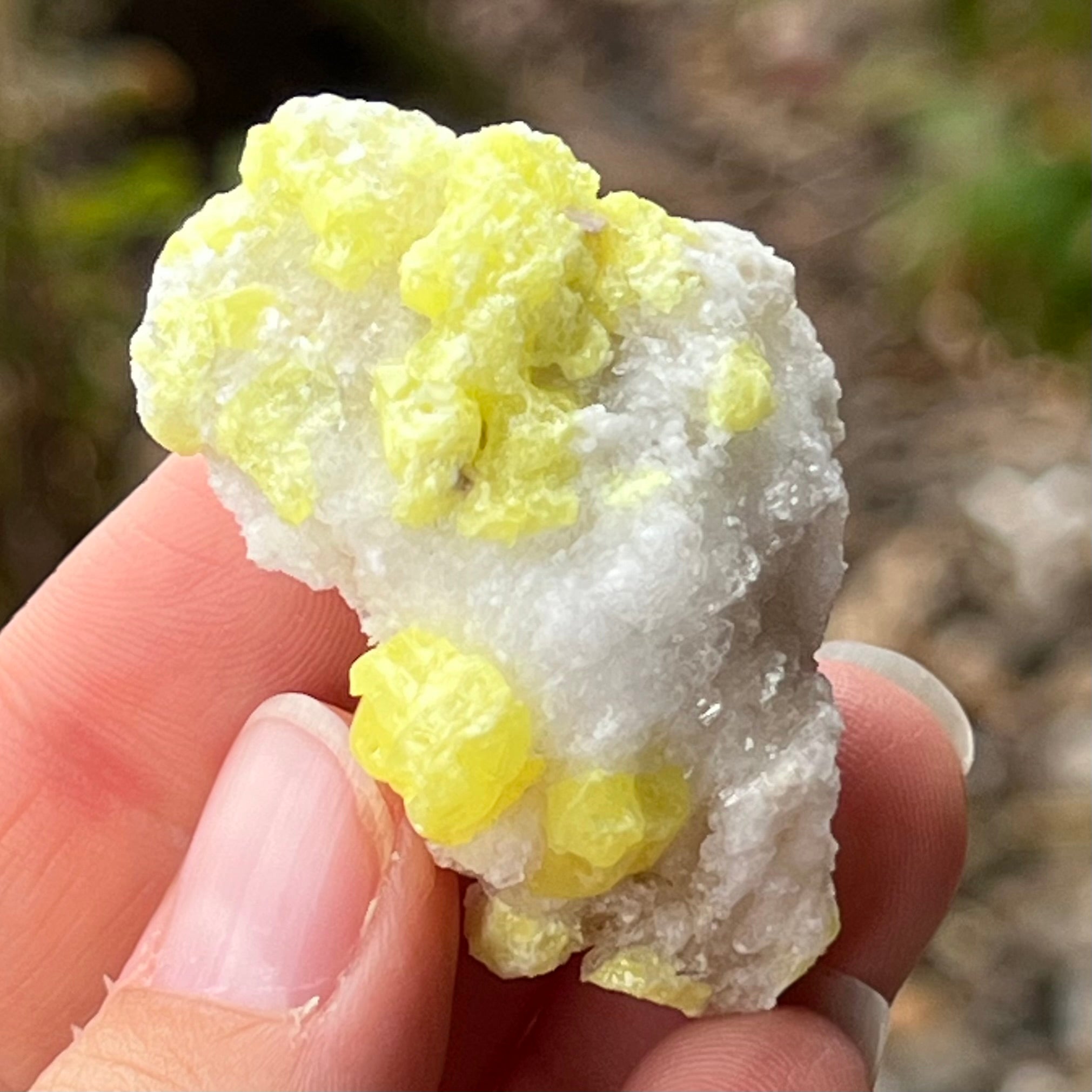 Sulphur Tumble  ~ Specialty Boxed Crystal