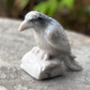 Raven Carving ~ Agate with Black Tourmaline