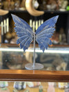 Sodalite Butterfly on Stand