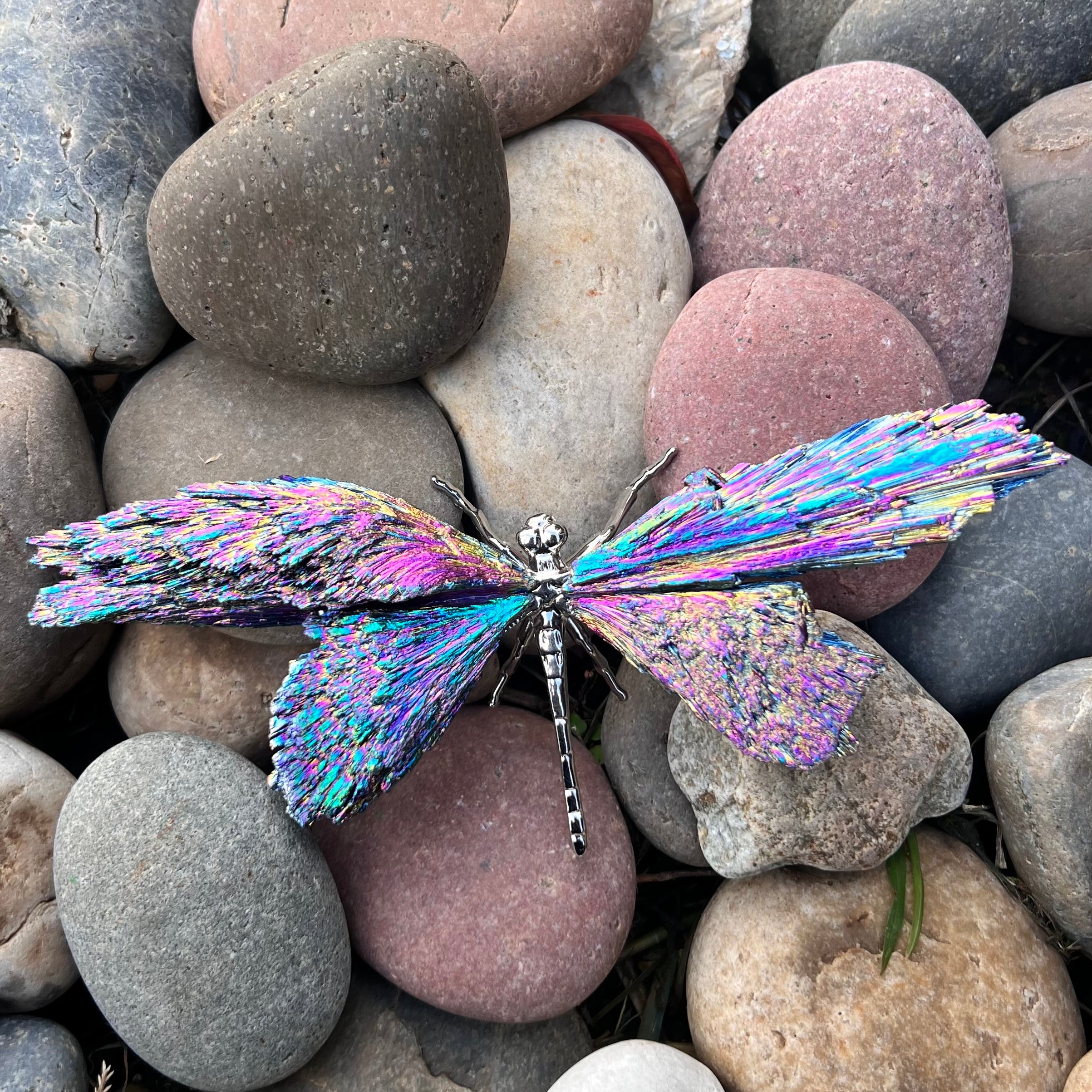 Dragon Fly ~ Rainbow Kyanite Electroplate