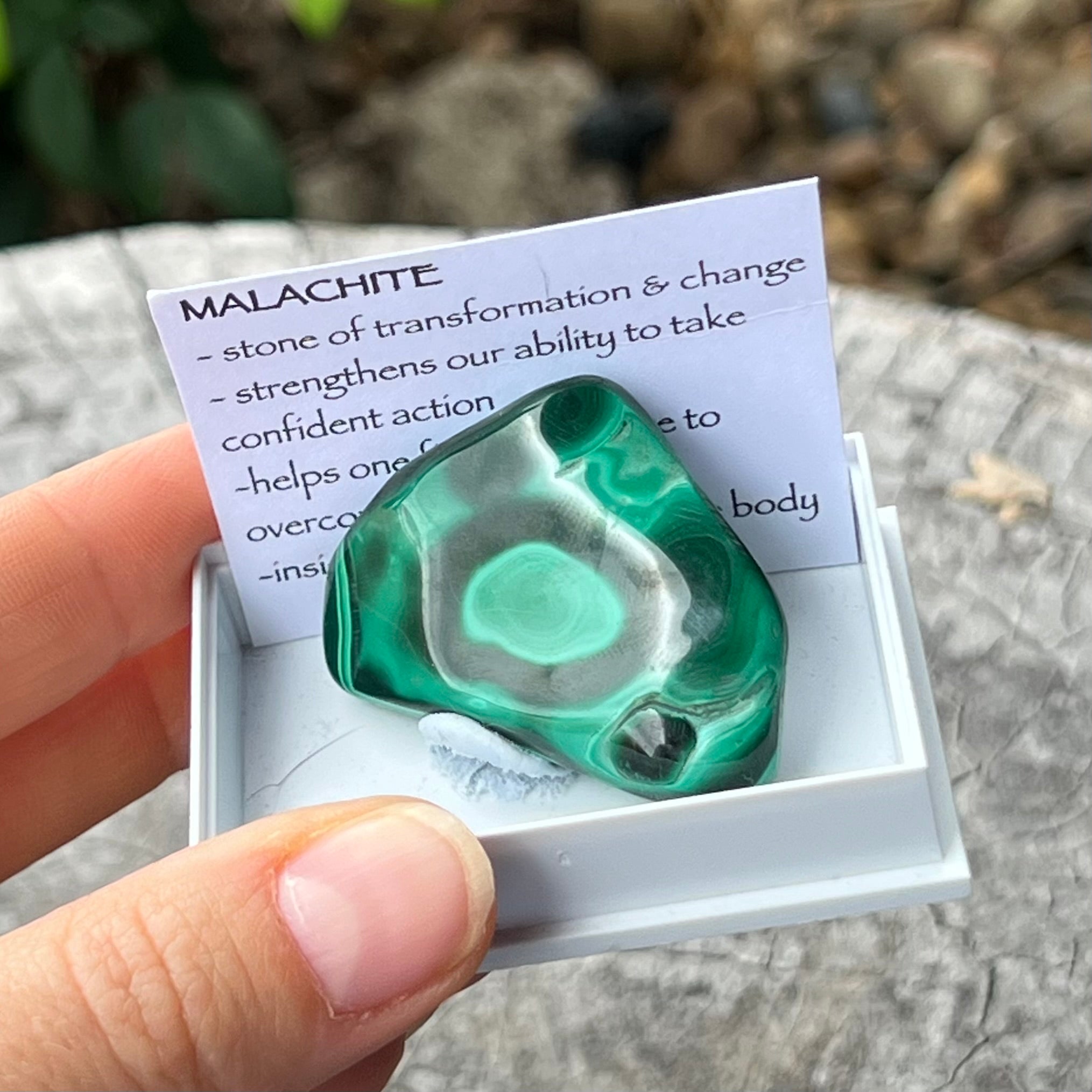 Malachite ~ Specialty Boxed Crystal