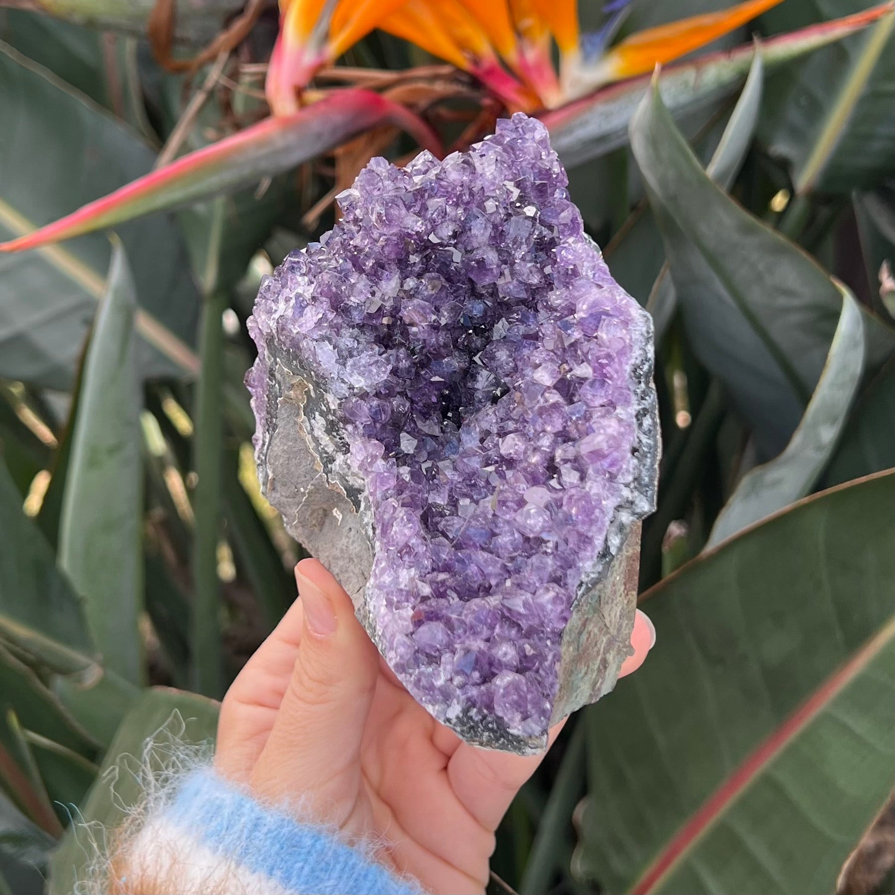 Gorgeous Amethyst Cluster