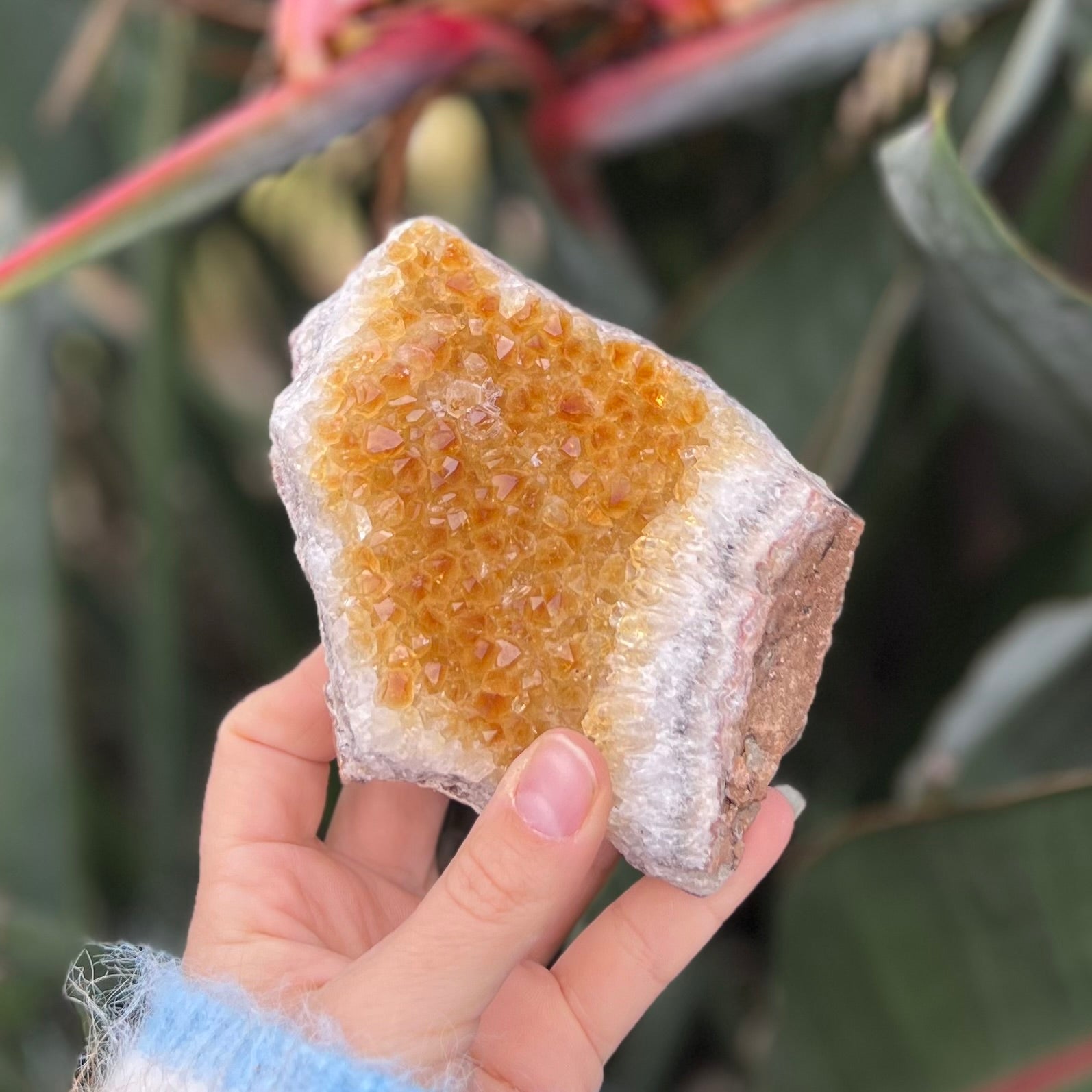 Citrine Cluster
