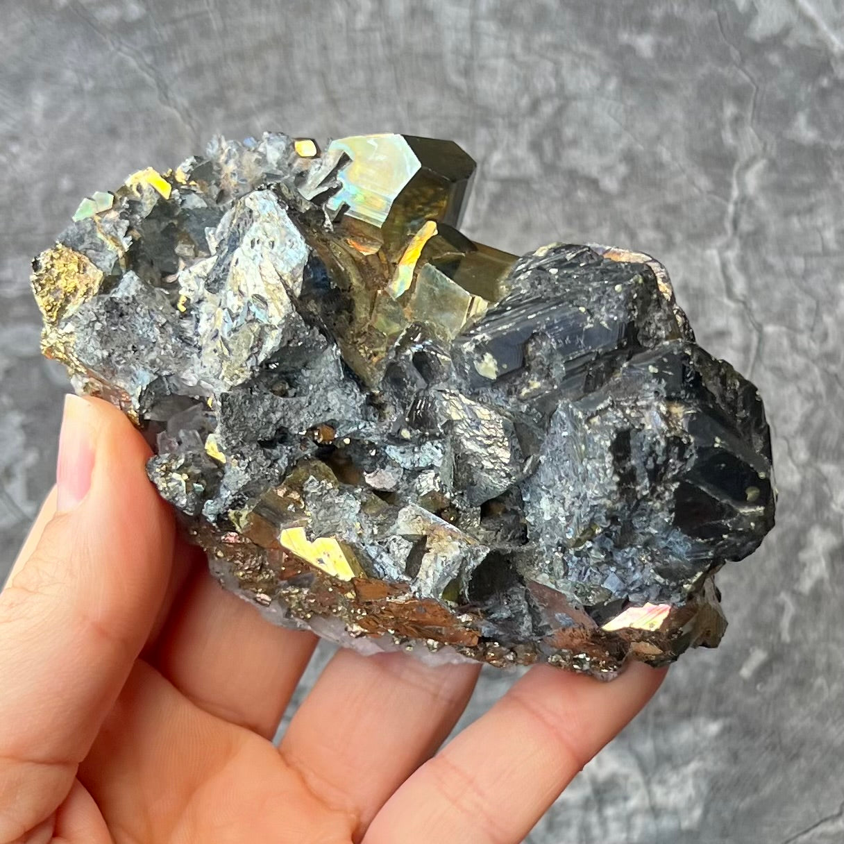 Galena with Pyrite