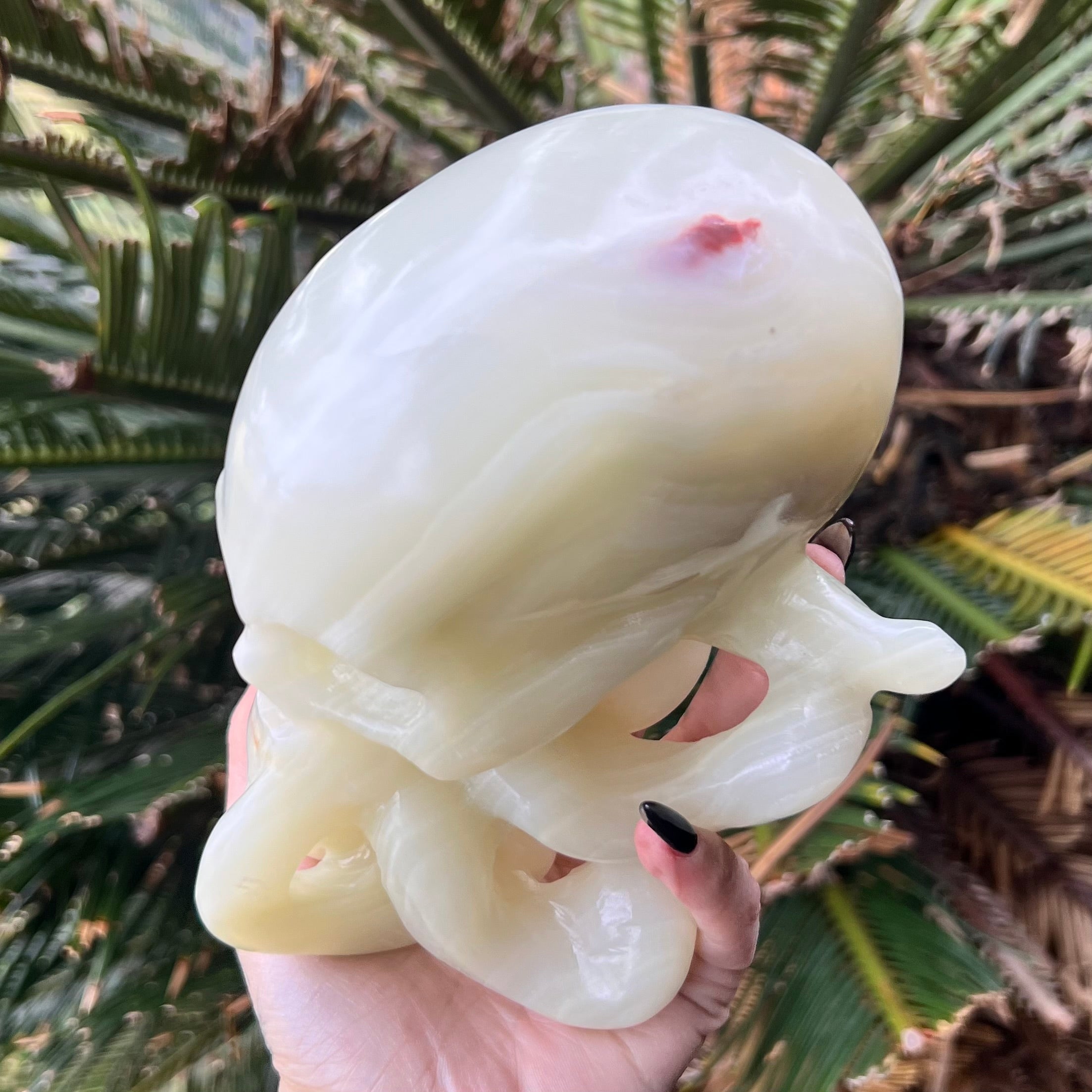 Afghanistan Jade ~ Octopus