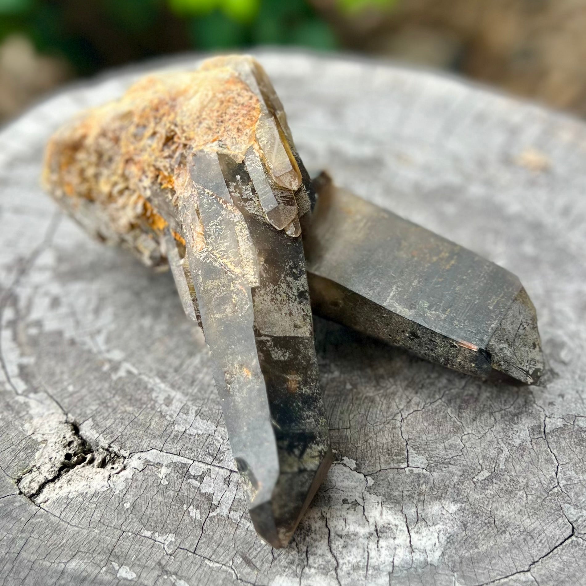 Smoky Quartz ~ Natural Double Point