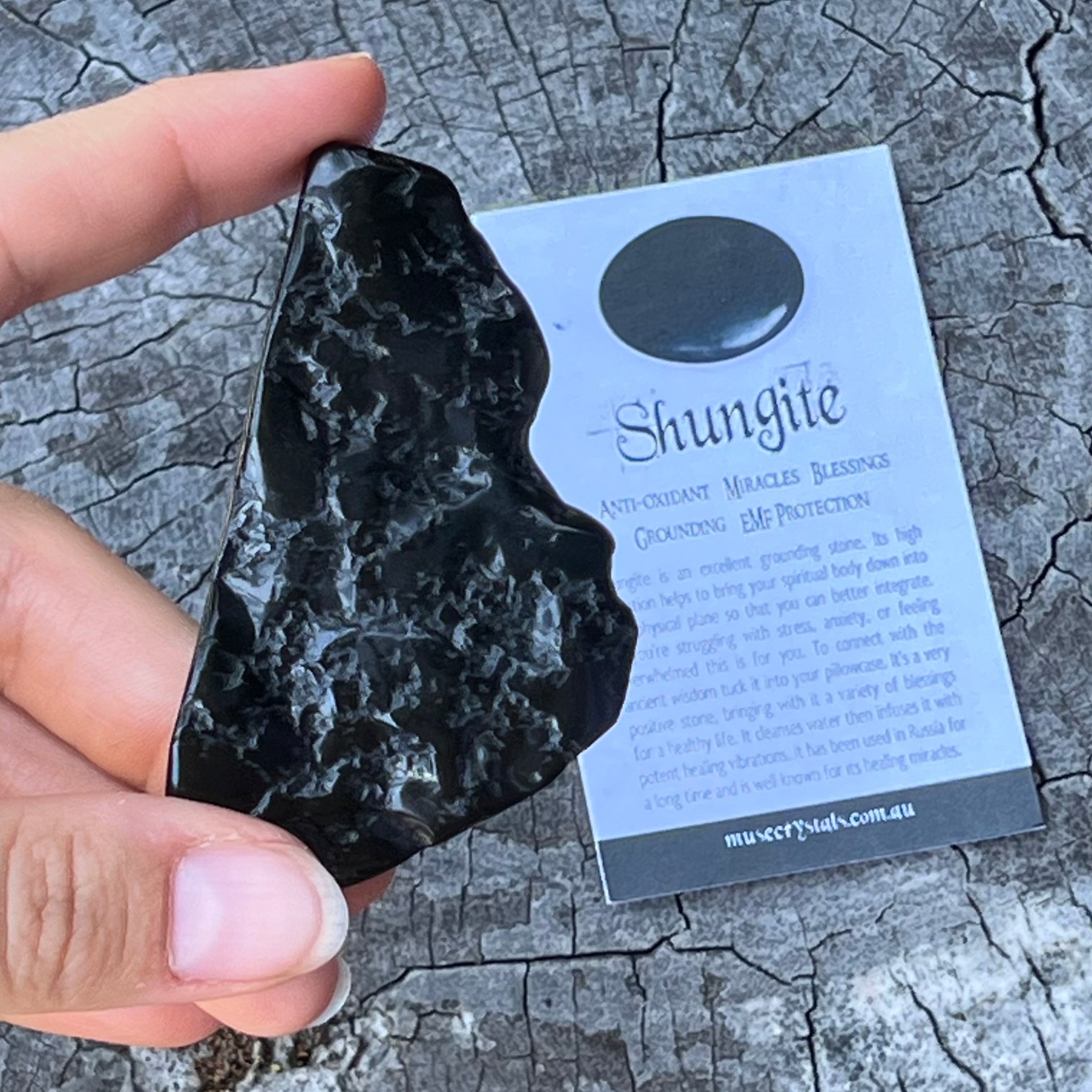 Shungite Piece