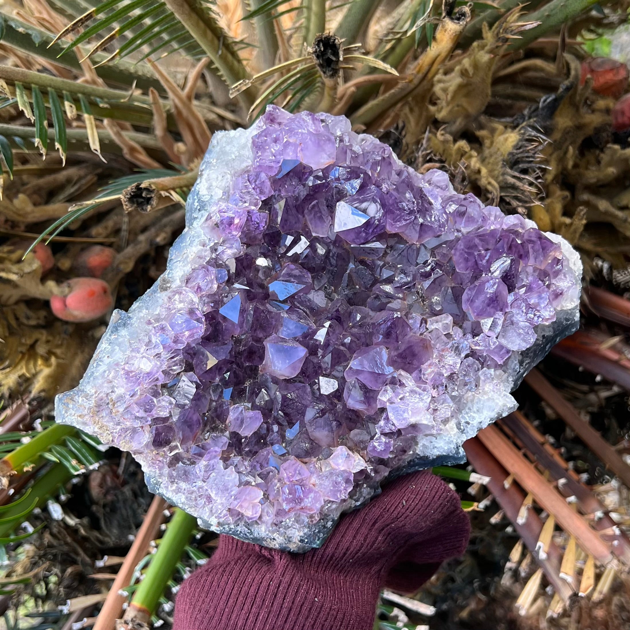 Amethyst Cluster
