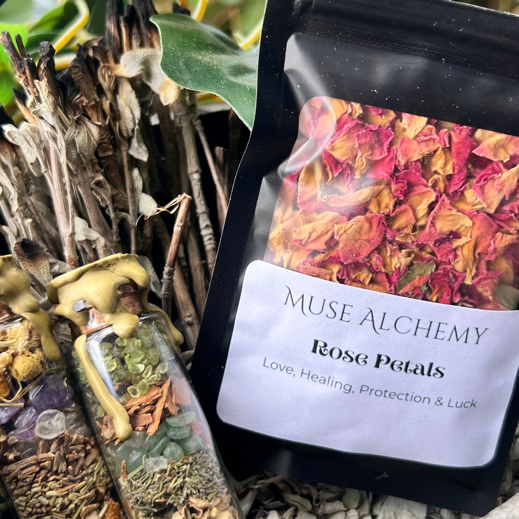 Rose Petals ~ Muse Alchemy Botanicals