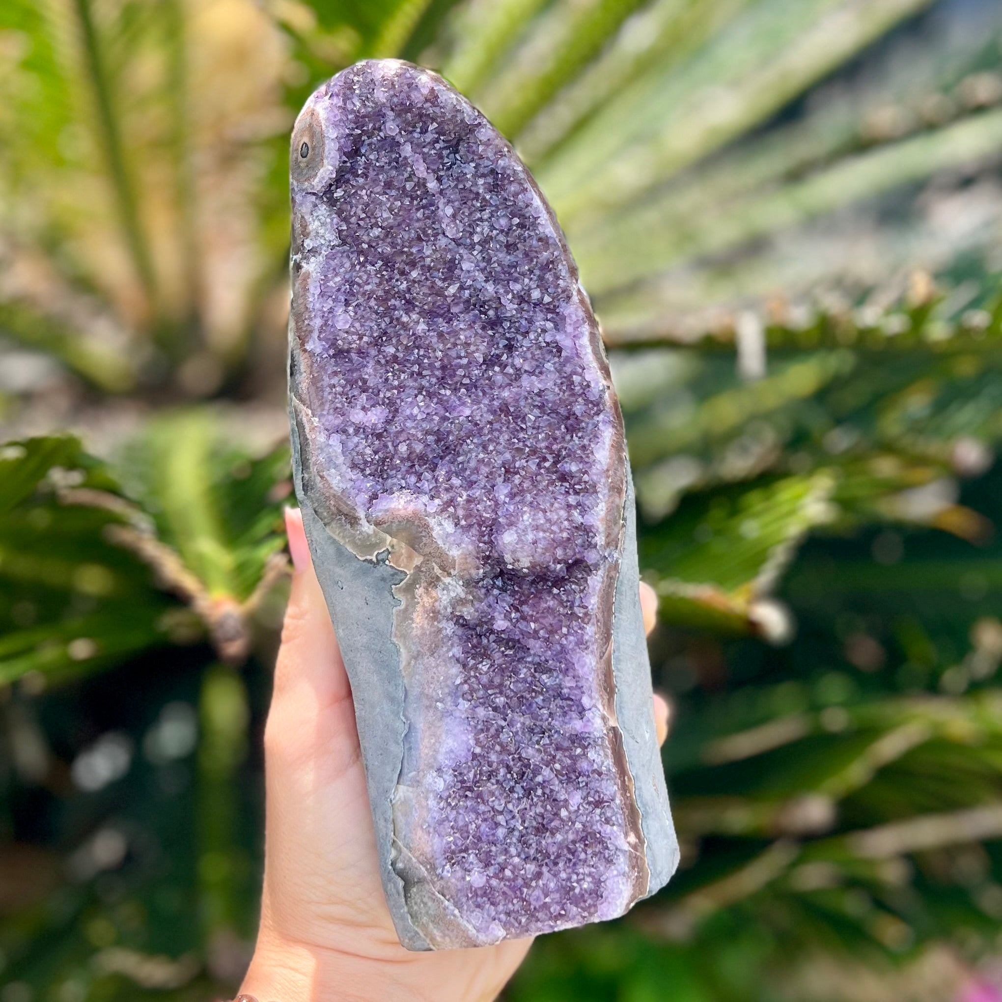Amethyst Standing Cluster Geode