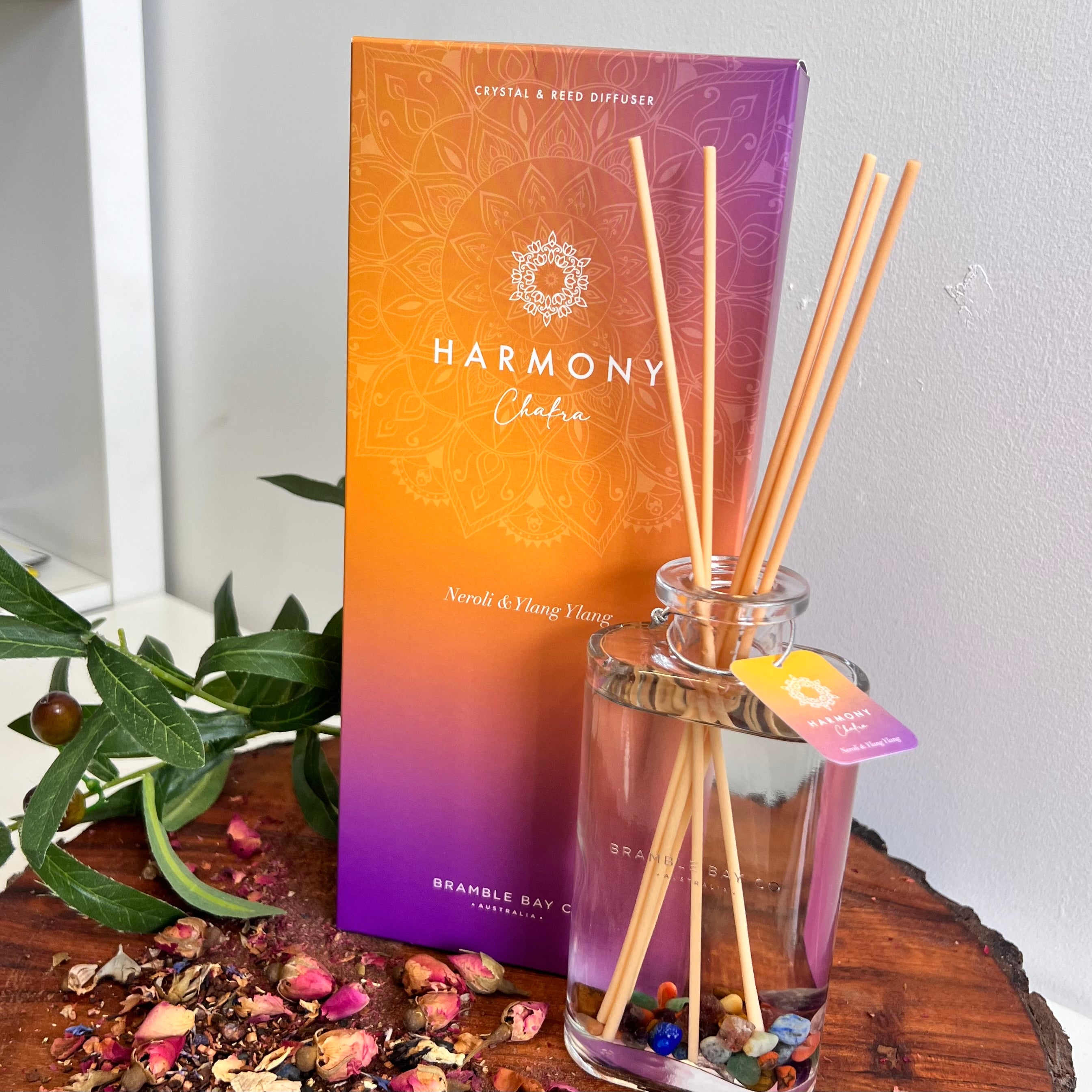 Boho Crystal Harmony Reed Diffuser ~ Chakra ~
Neroli & Ylang Ylang